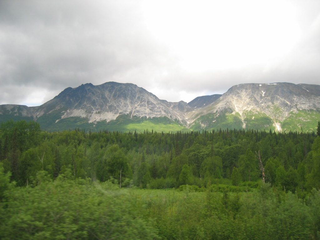 Based on the train guide, this is the point at which you could see MtMcKinley ... were it not...