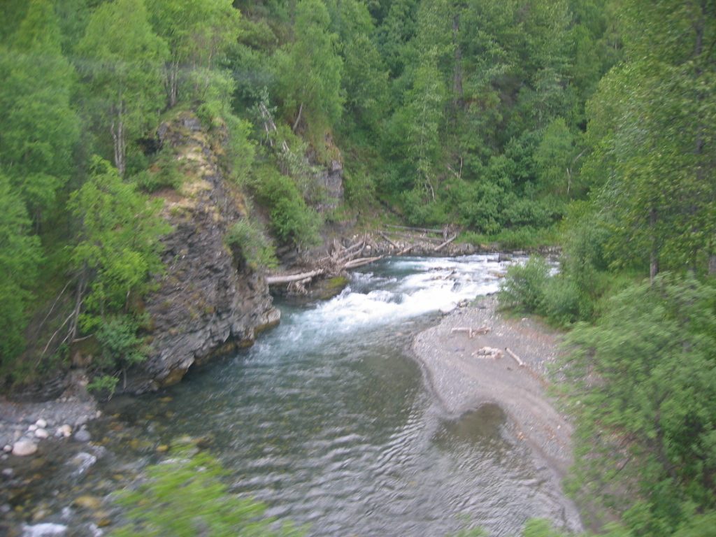 Pretty stream scene.  The train was very comfortable with enormous windows, and domed cars. ...