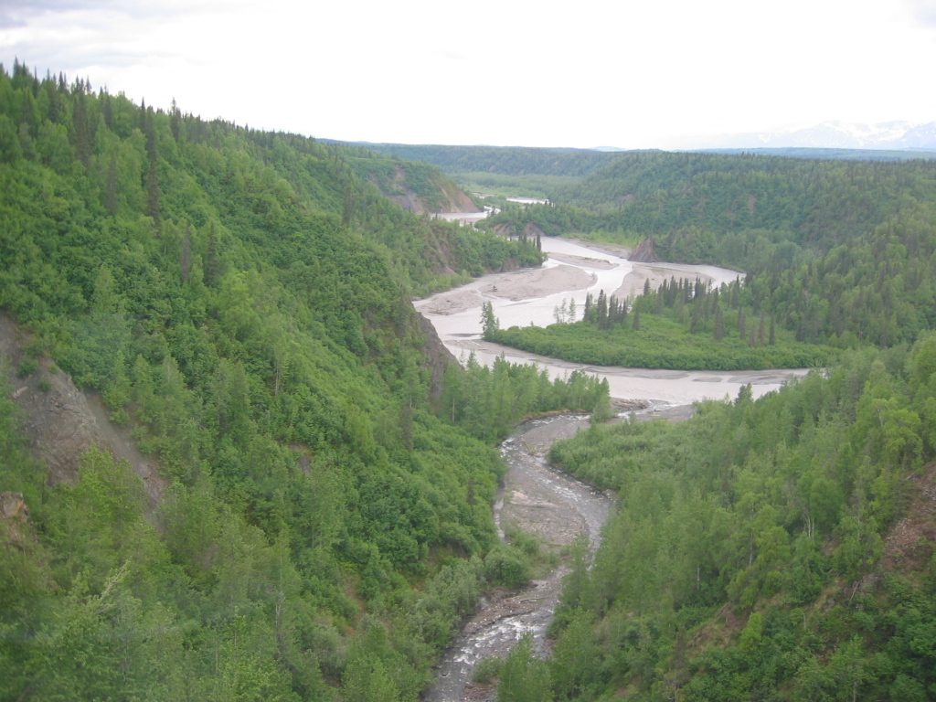 Glacier fed stream; notice the murkiness of the water which contains tremendous amounts of silt.