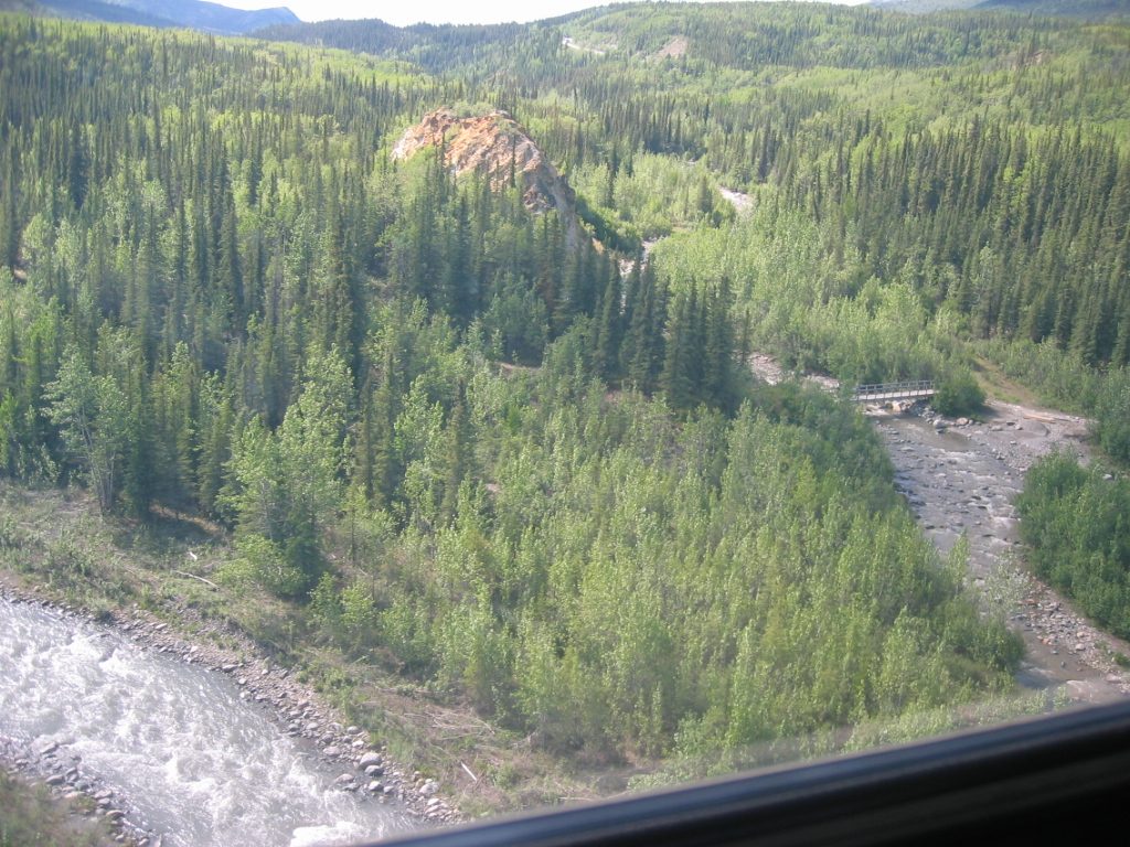 Bridge over Riley Creek ... which is both glacially fed (left) and fresh water (right).