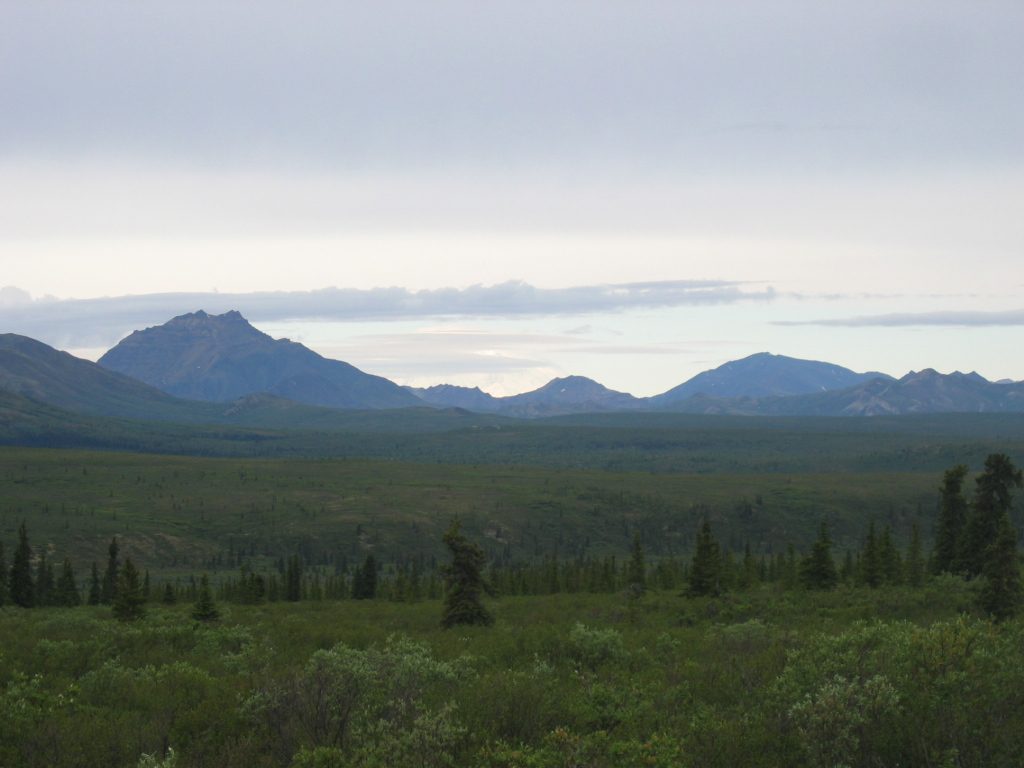 And another 'picture' of Mt McKinley ... the brightest spot in the middle of this picture.