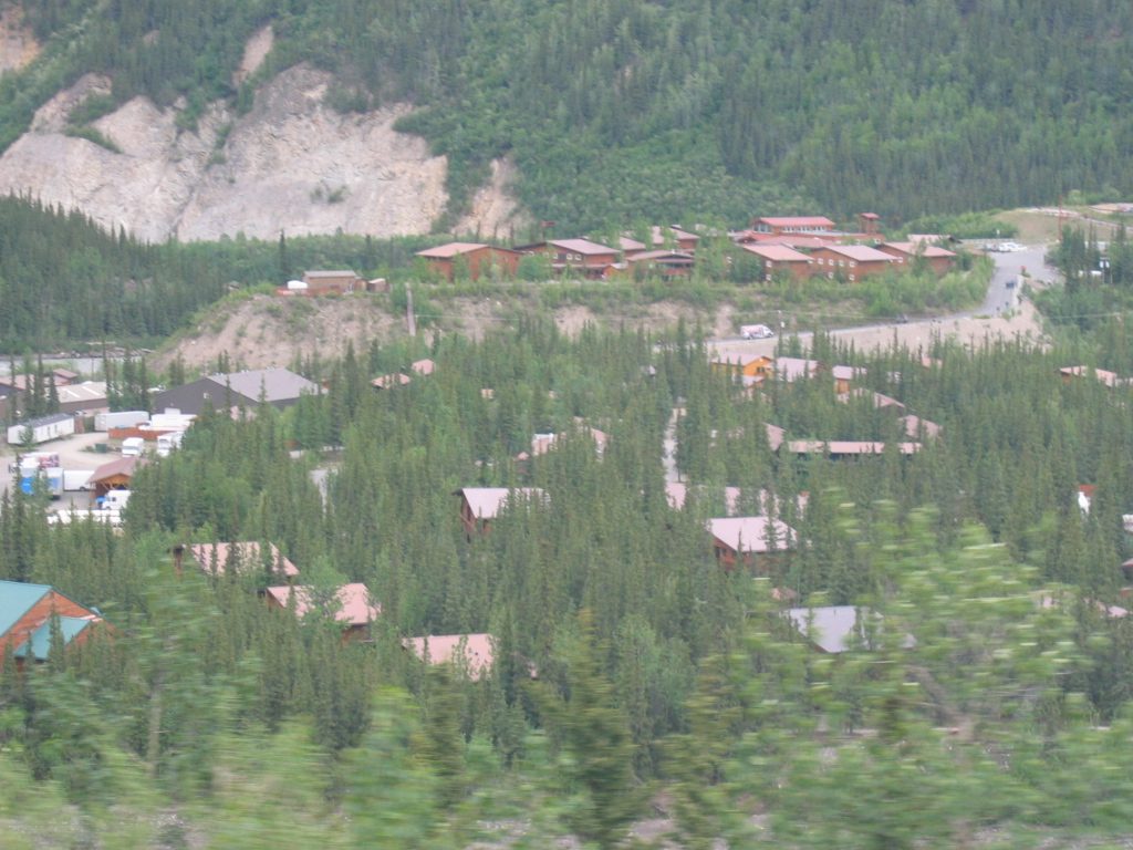 Our McKinley chalet accommodations were in one of those slanted roof buildings in the woods.