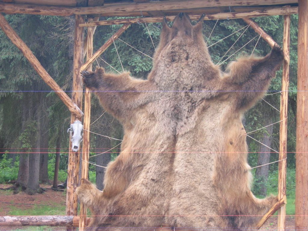 Part of the native Alaskan display