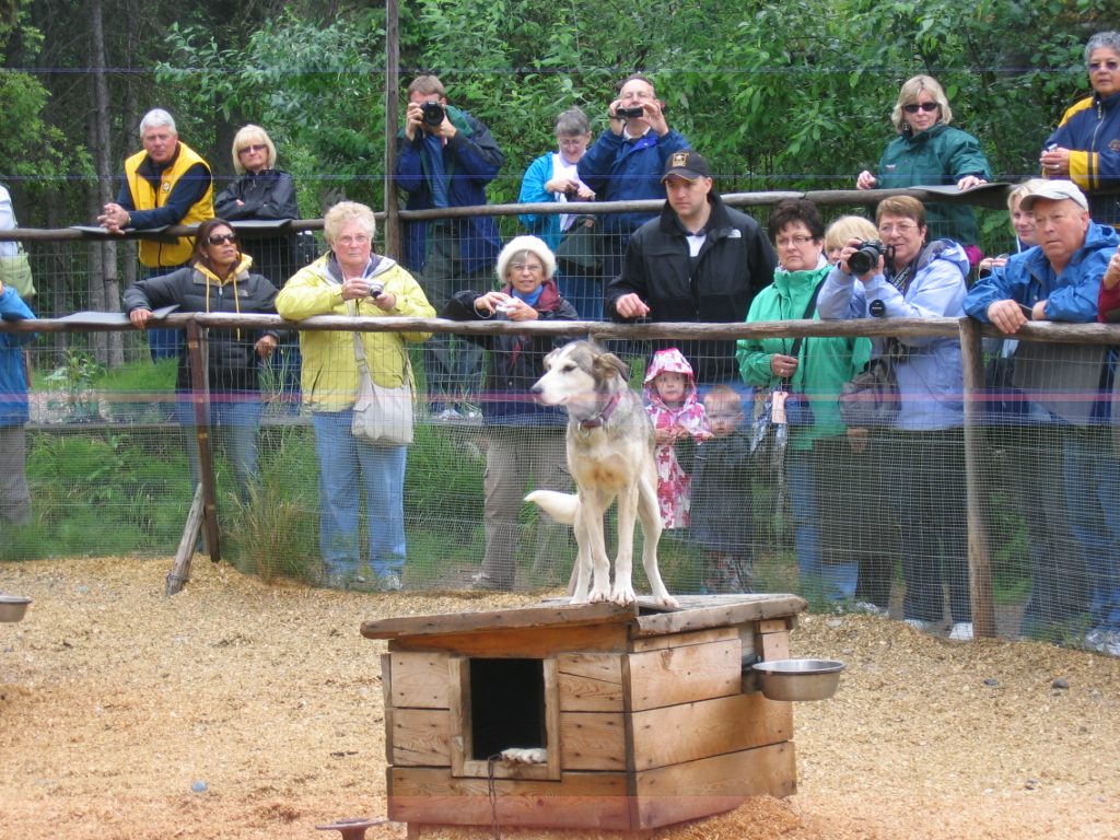 And yet again.  She was the only one who "posed"