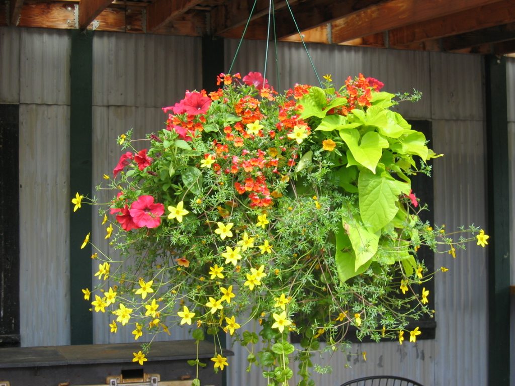 Another pretty arrangement