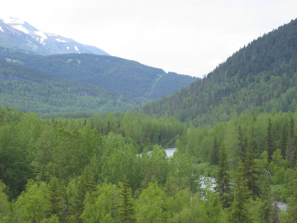 This is looking back towards Turnagain Arm, away from the trk up to the gold fields.