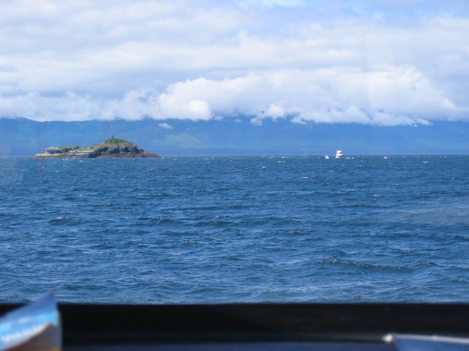 We went a considerable distance to an area where our captain said there were whale sightings.