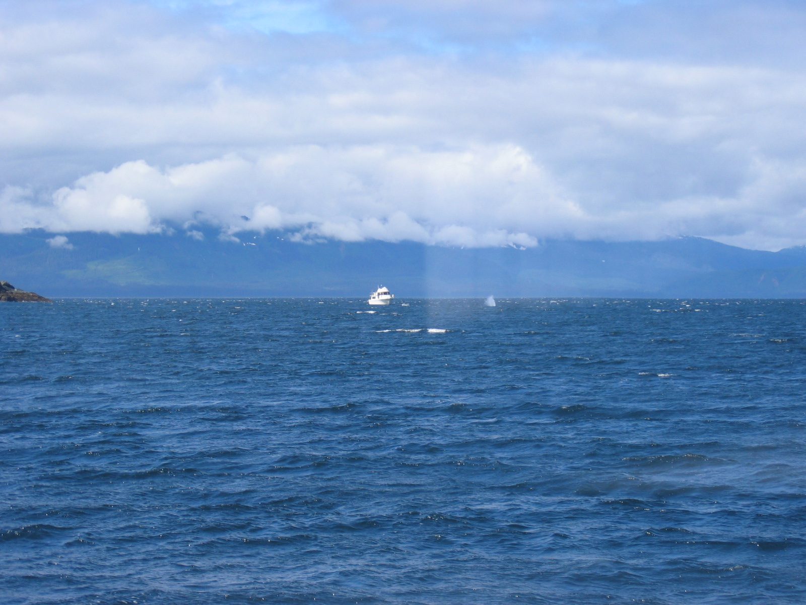 To the right of the other boat, you can see a "blow" meaning that a whale might soon surface.
