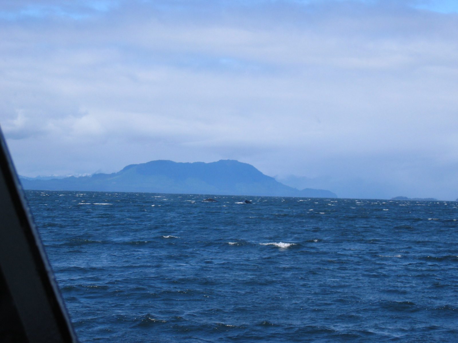 And two whales visible