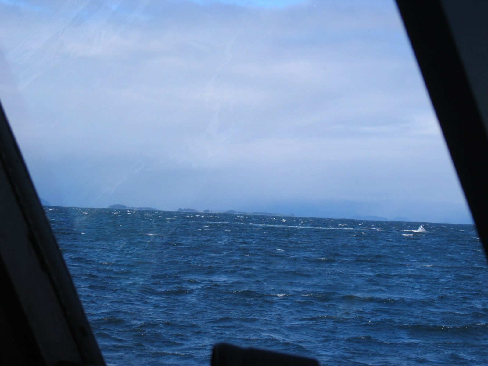 and maybe the end of a fluke flap.