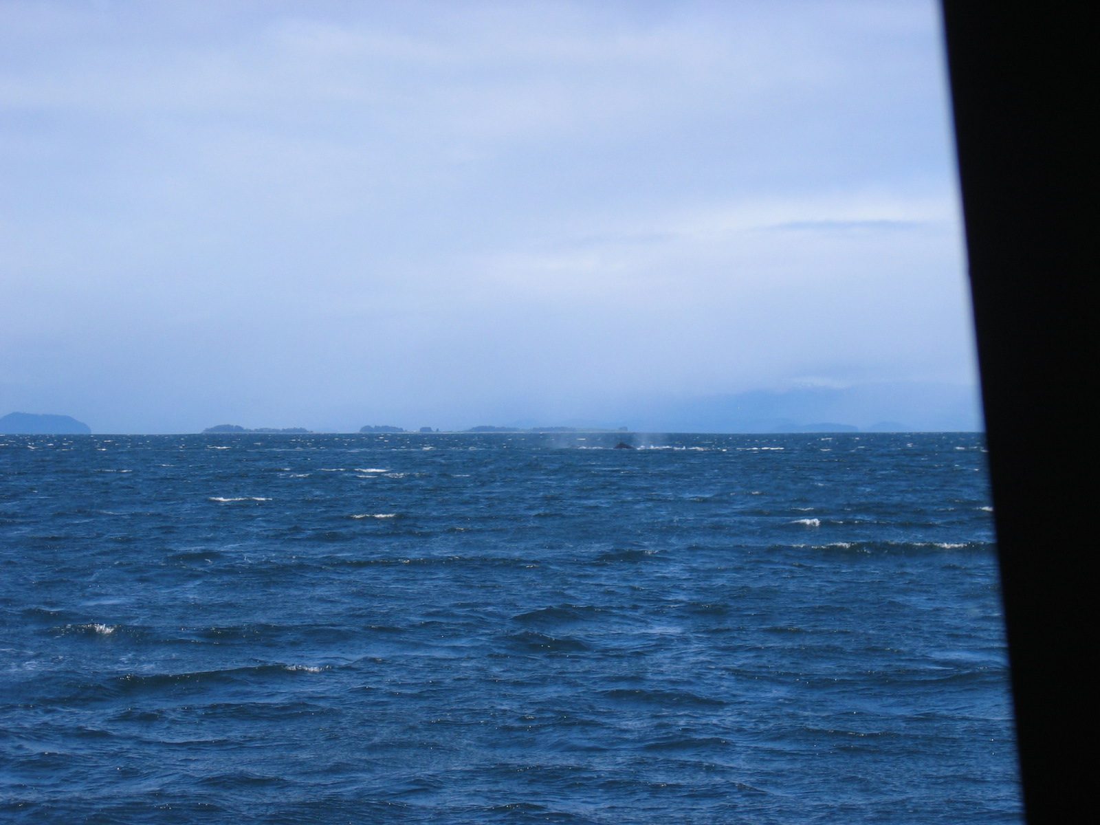 ... sort of a whale, or a fluke there in the middle distance.