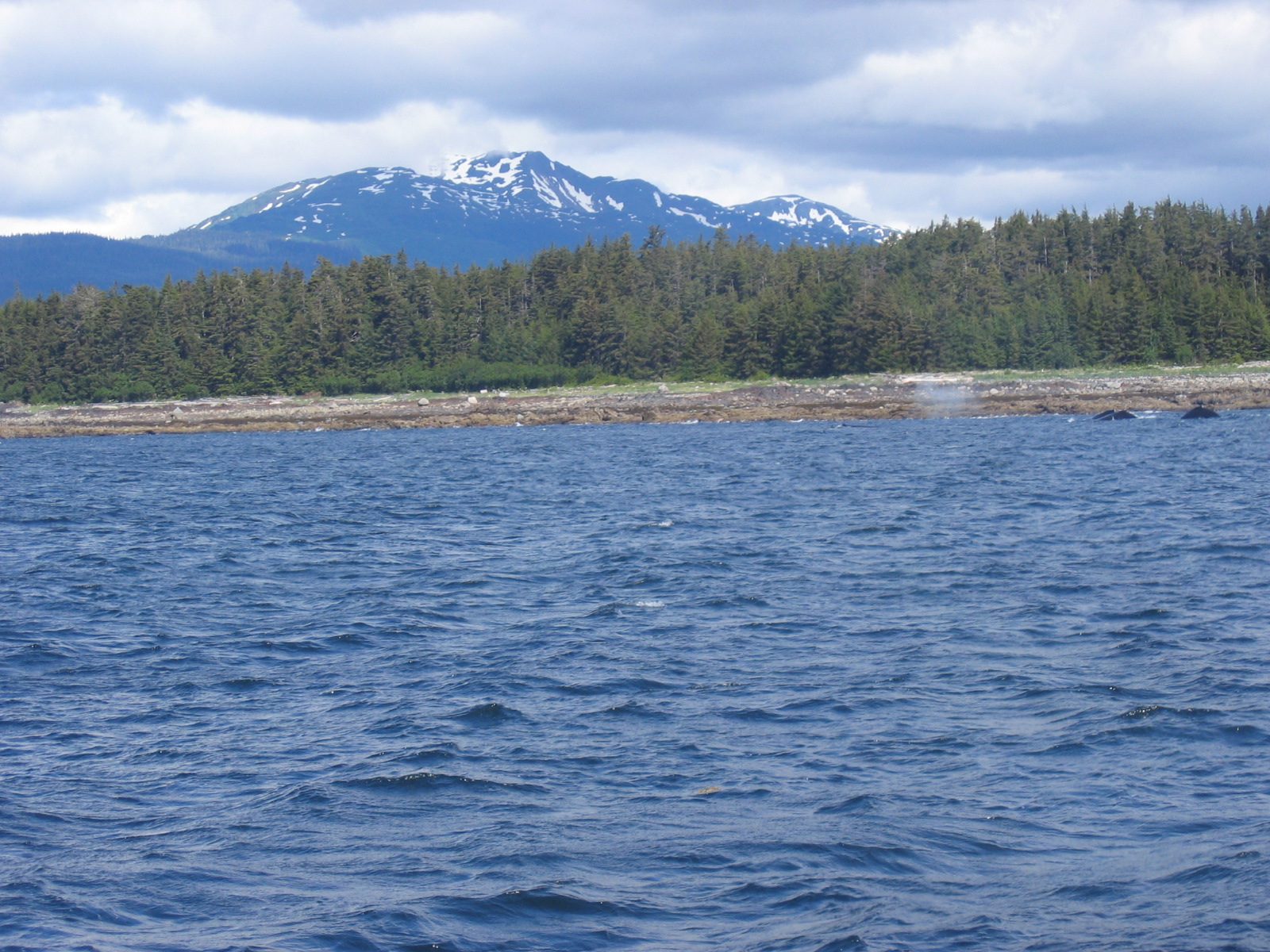 Nope ... just whales near by.