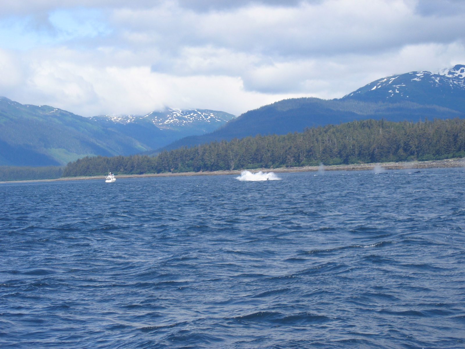 And this was the third.  They came all in a row together.  Lots of oohs and aahs on our boat.