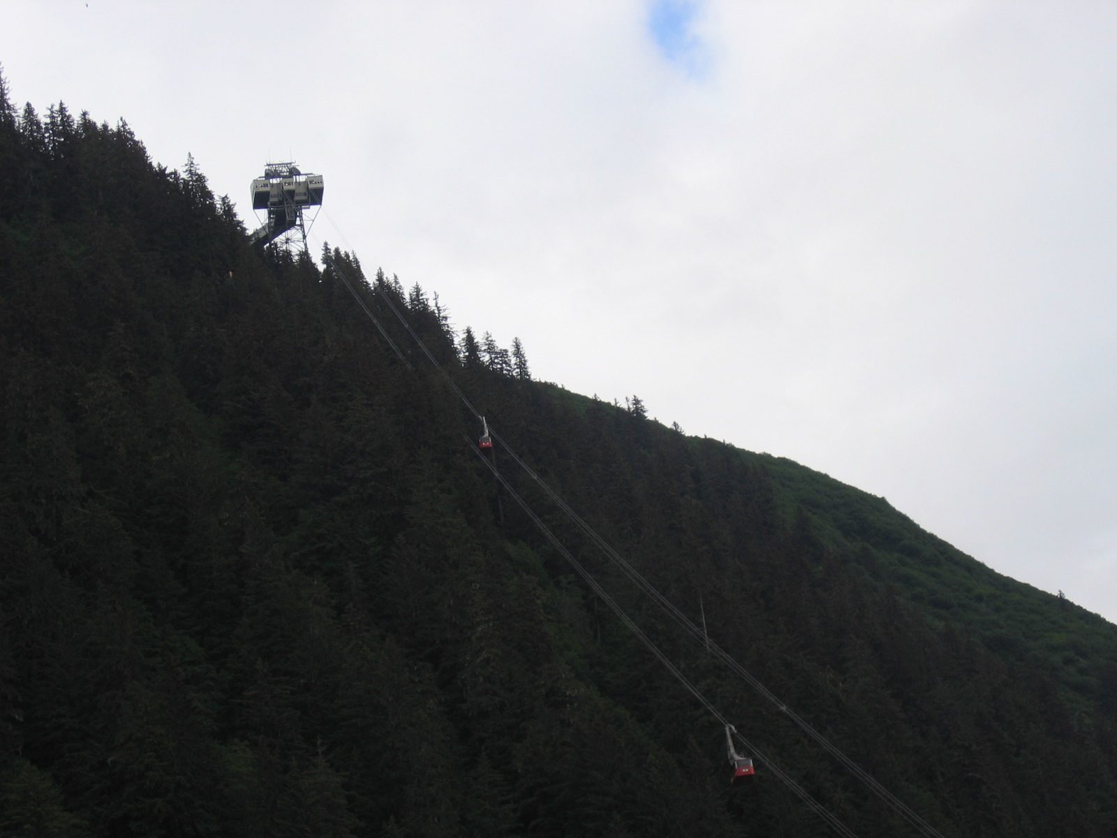 The Mt Roberts Tramway leaves from 'downtown' Juneau and goes to the top of Mr Roberts...