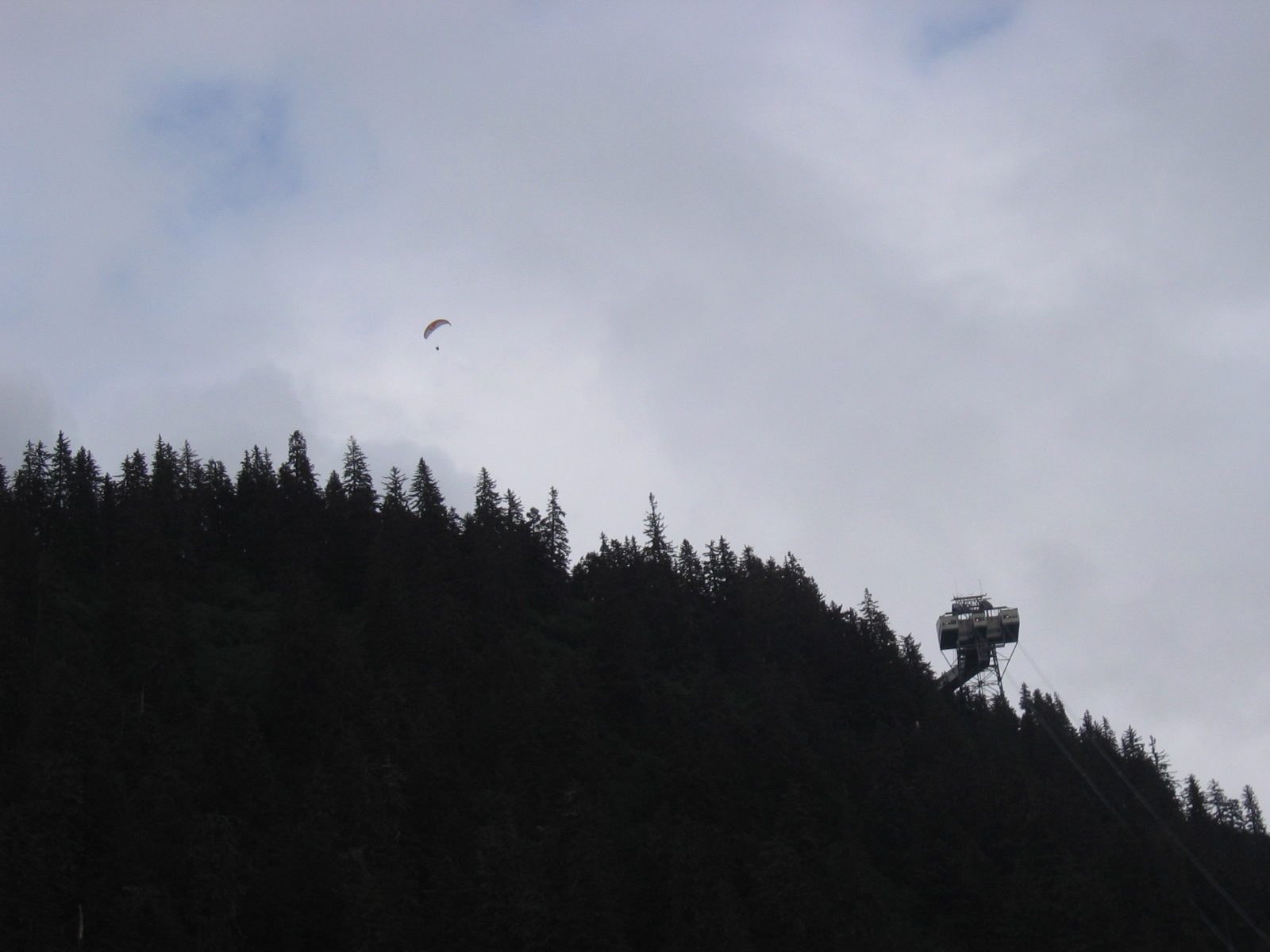 This fellow caught my eye, parasailing over Mt Roberts