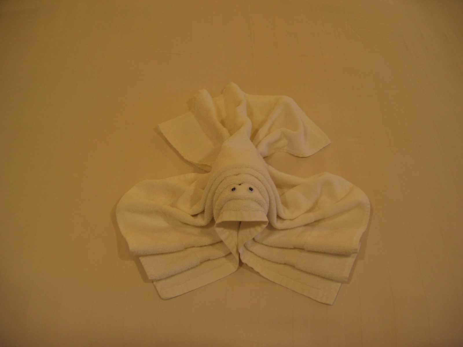 A very sad looking lobster.  His eyes fell off and I think I put them too high in his head.