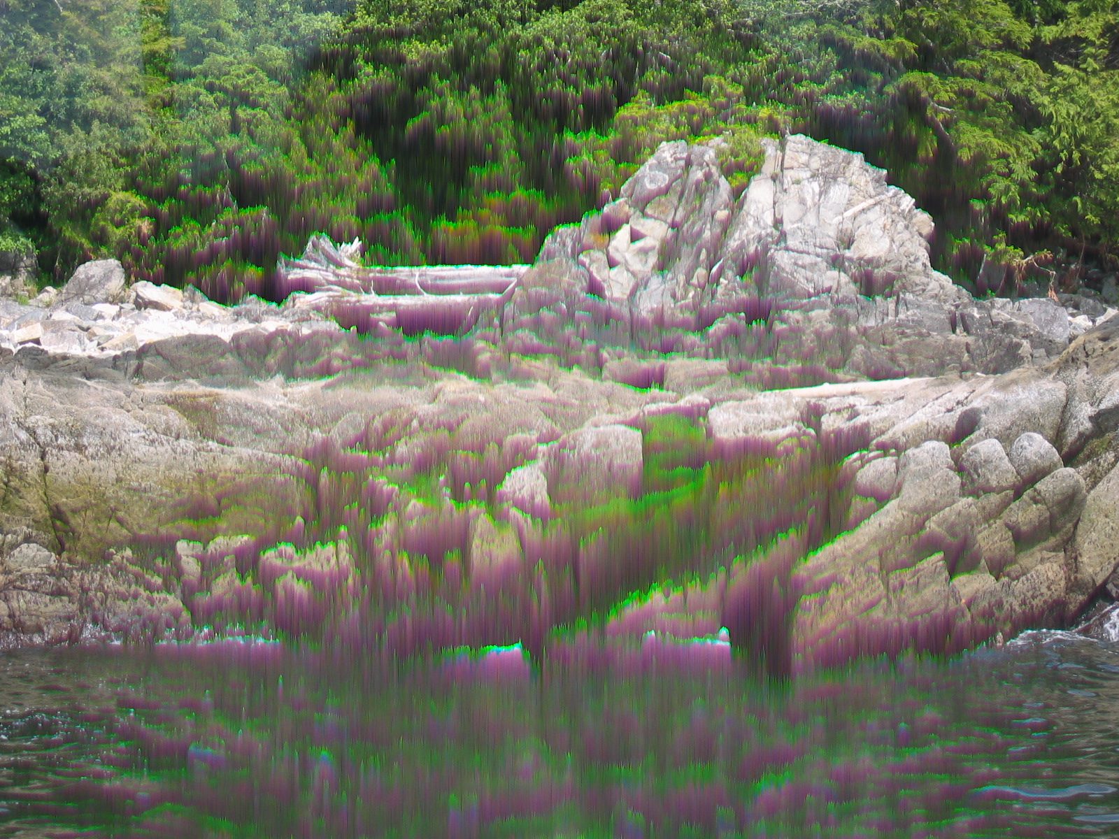Actually the moss on this bank was a very brilliant strange green, but I think the camera "enhanced" it.