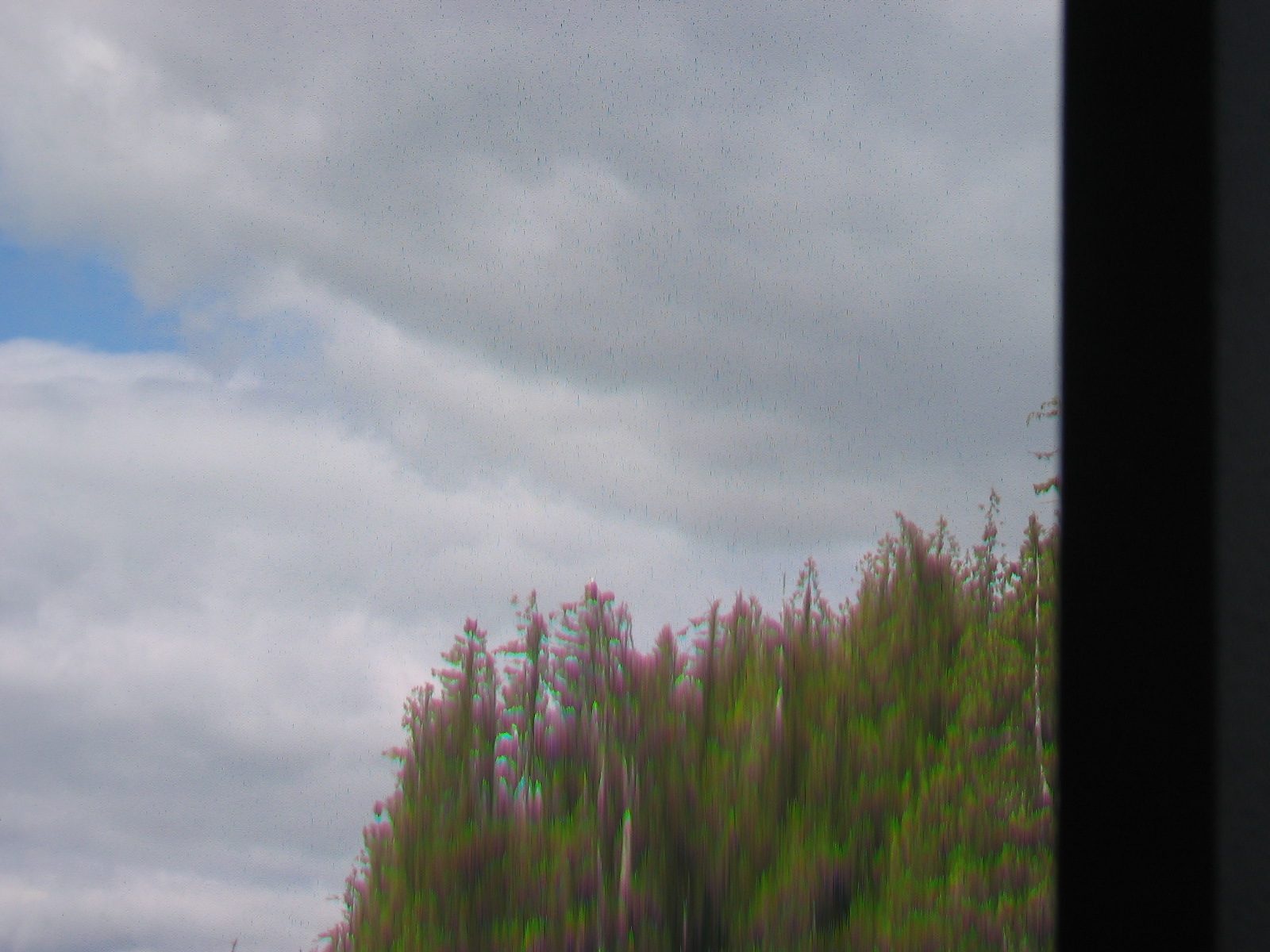 The eagle again.  C'mon zoom lens, I'm ready for you.