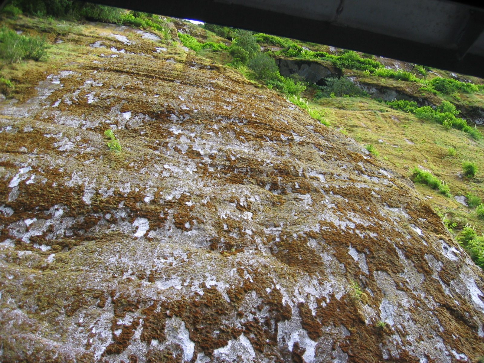 Vertical shot of some of the cliffs as we came in close.  I believe what we are seeing is...