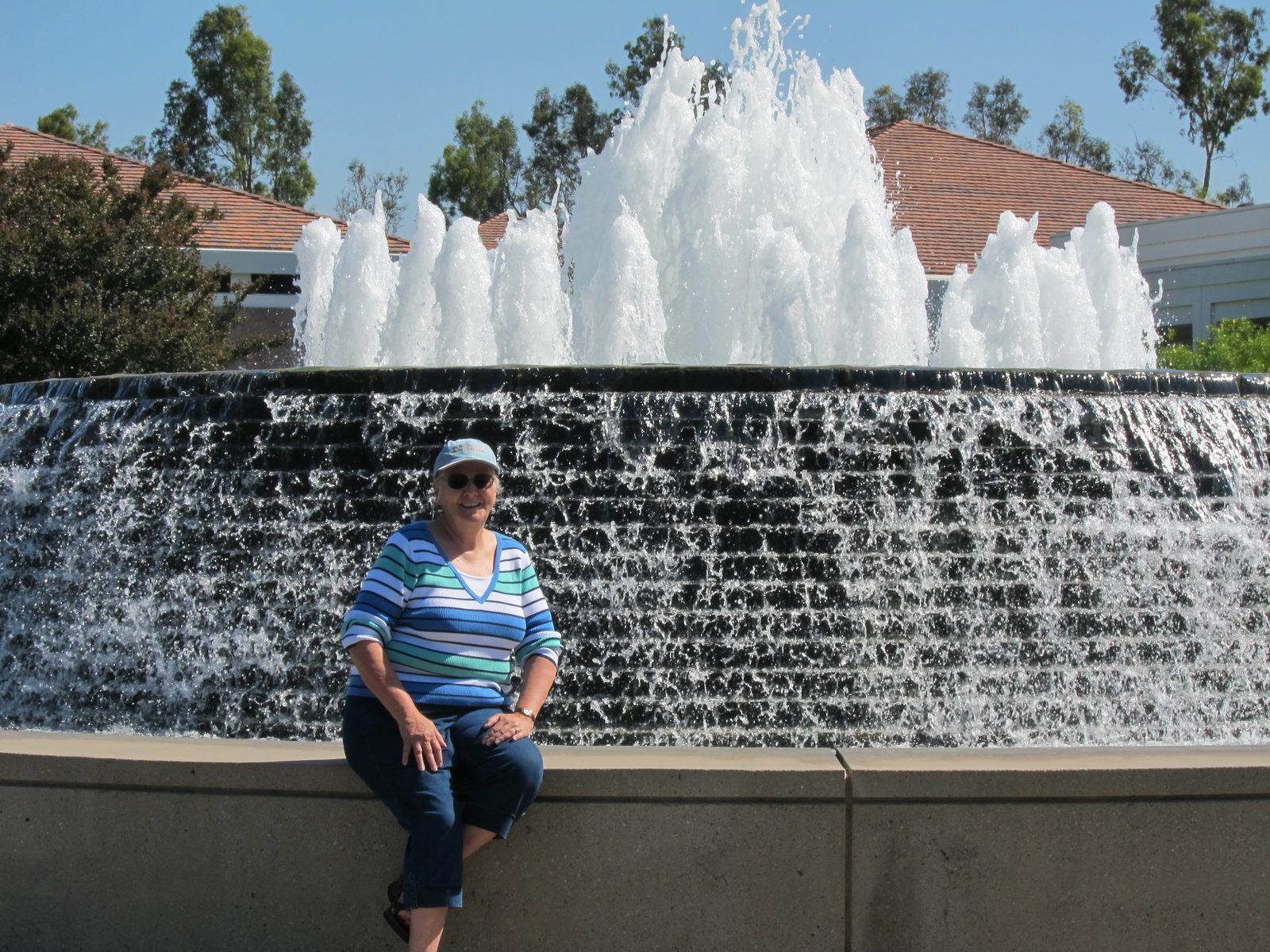 Pretty fountain in front of library
