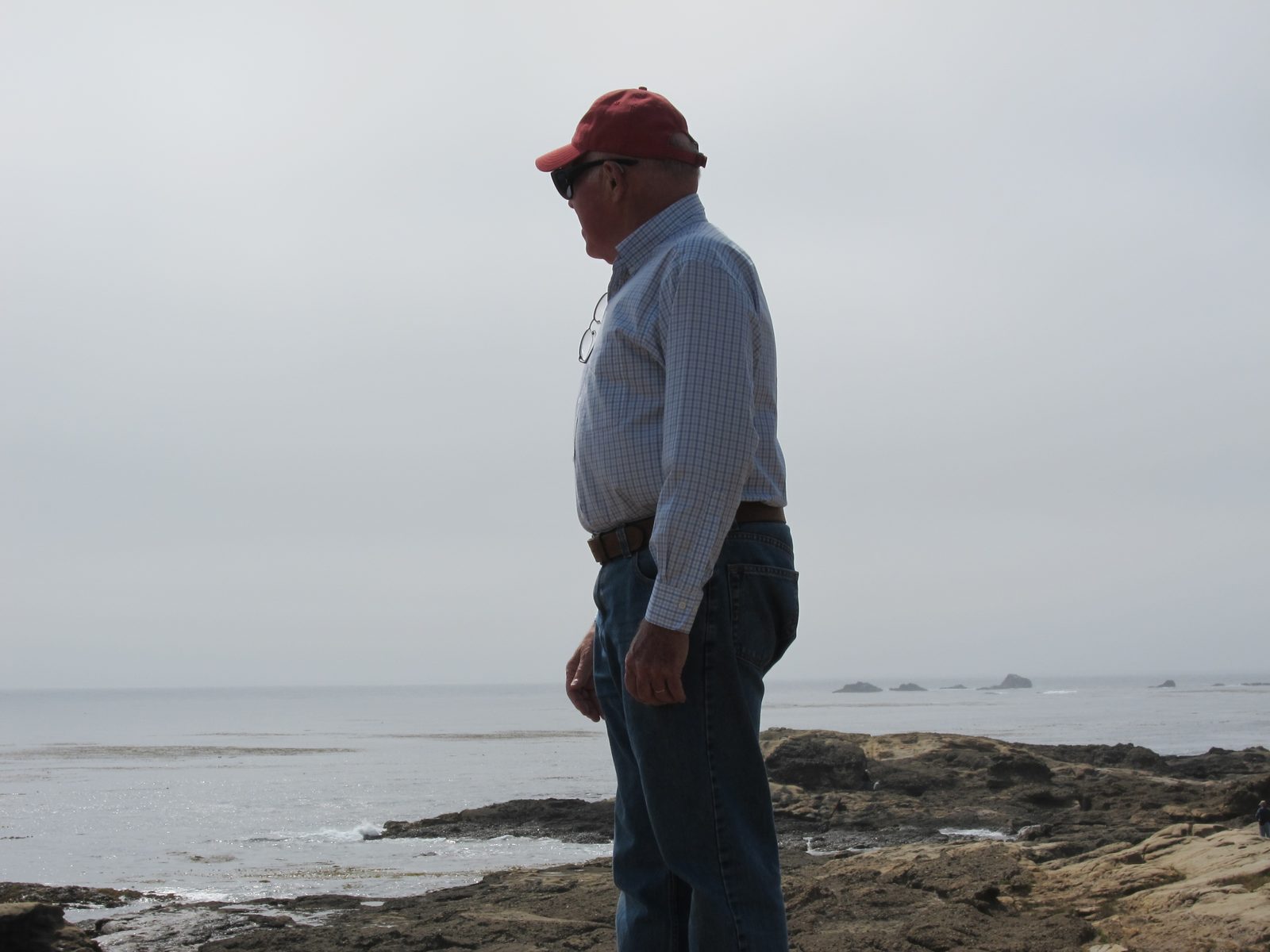 Peter looking off to sea.  Seems we've seen this before.