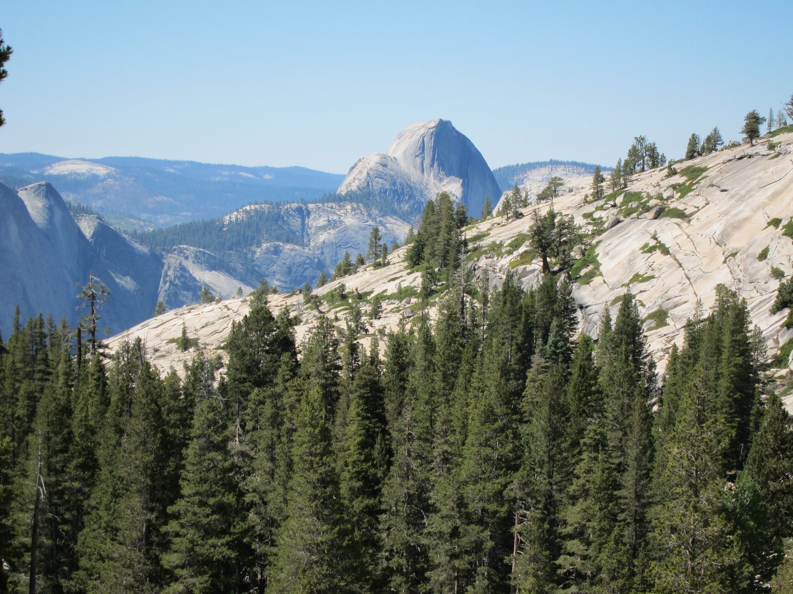 The view of Half Dome from Olmsted.  Tenaya Canyon to the left. 