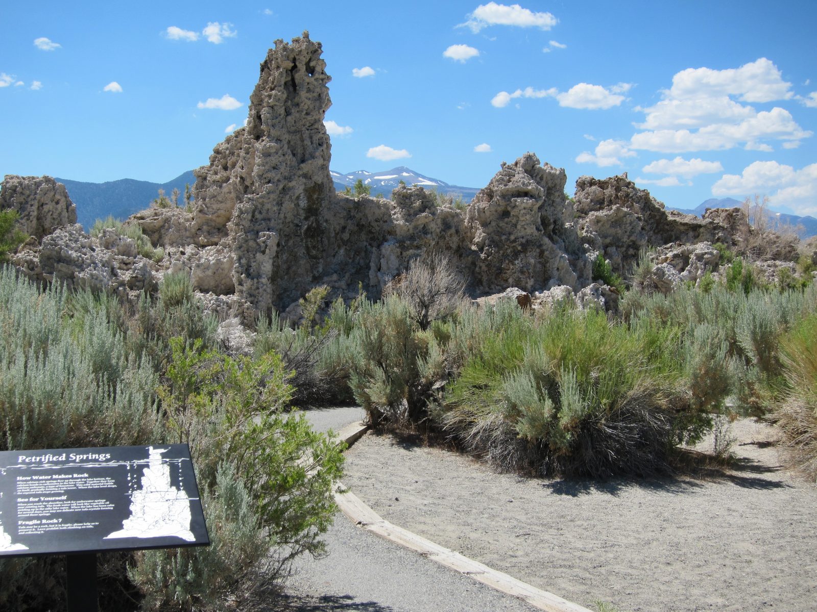 Our first views of the Tufa's .. Calcium carbonate formations which form in Mono Lake as springs...