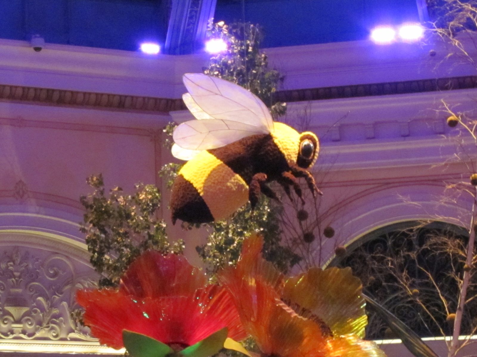 A giant bee landing on Chihuly's flowers.