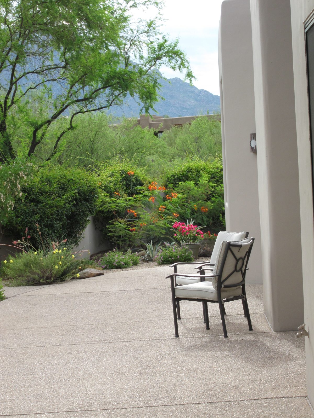 View of the back patio which is still "under construction"