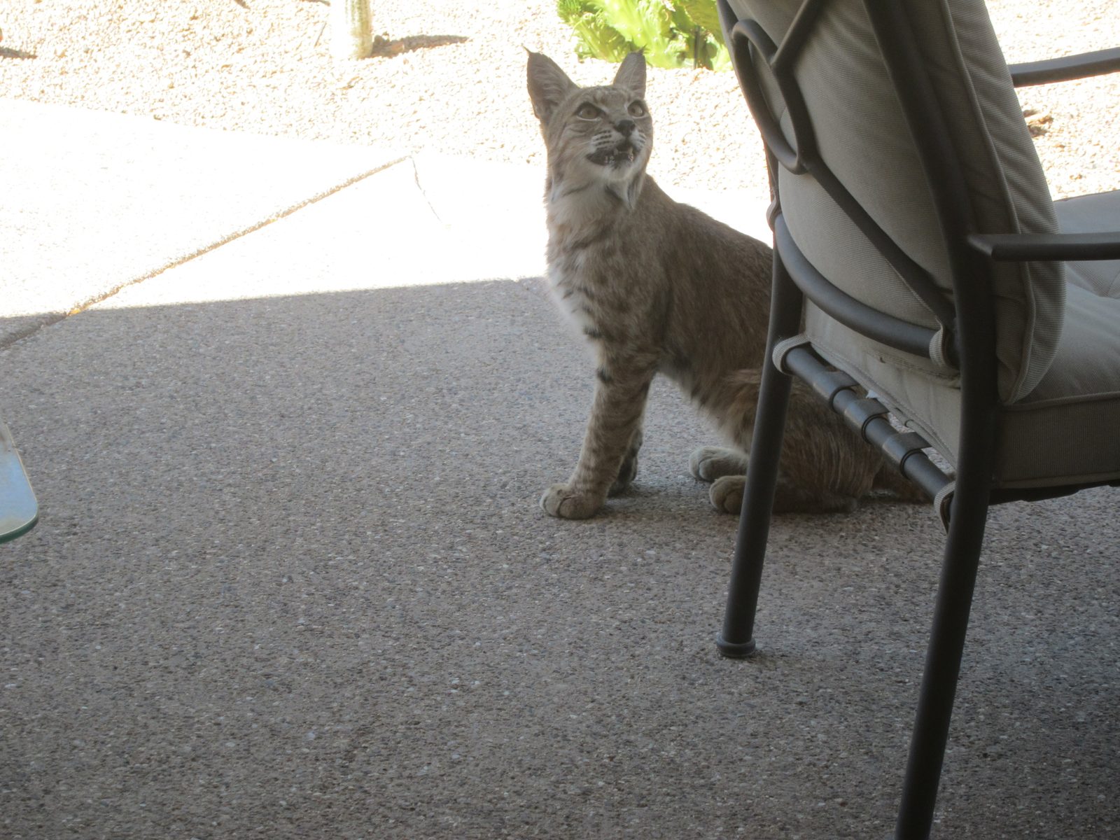 Hmmmm ... .is someone watching me?