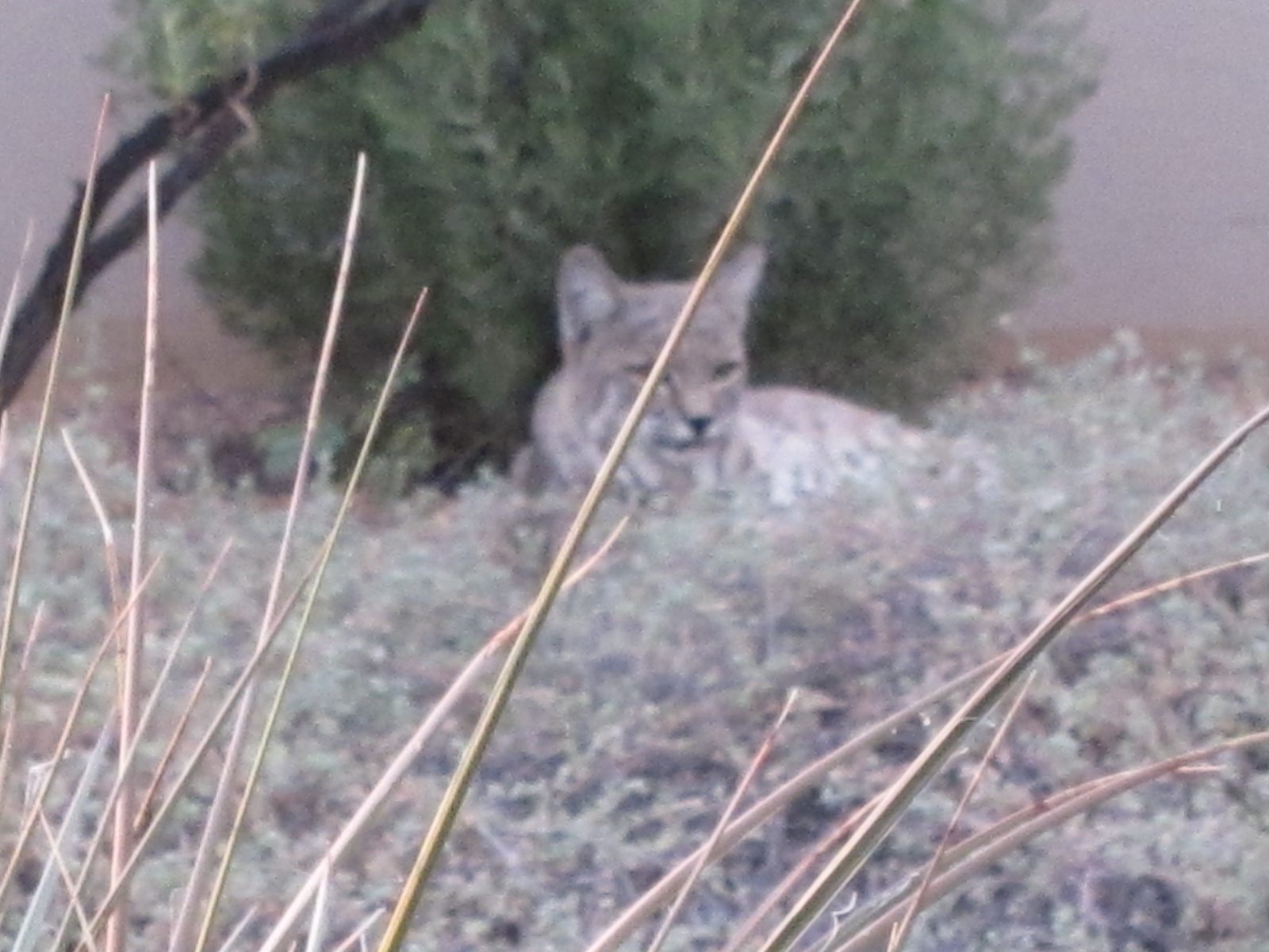 Zoomed in on.