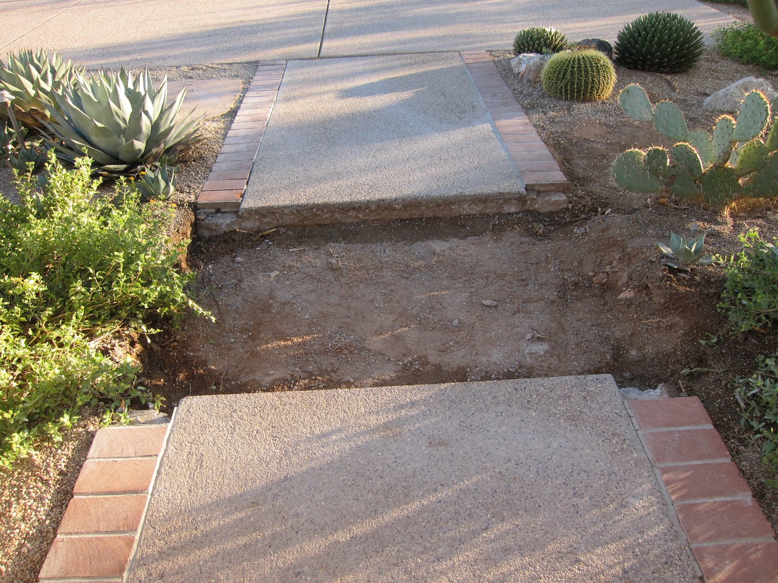 Also saw cut the pavement out front which had been raised by a root of the Palo Verde just out...
