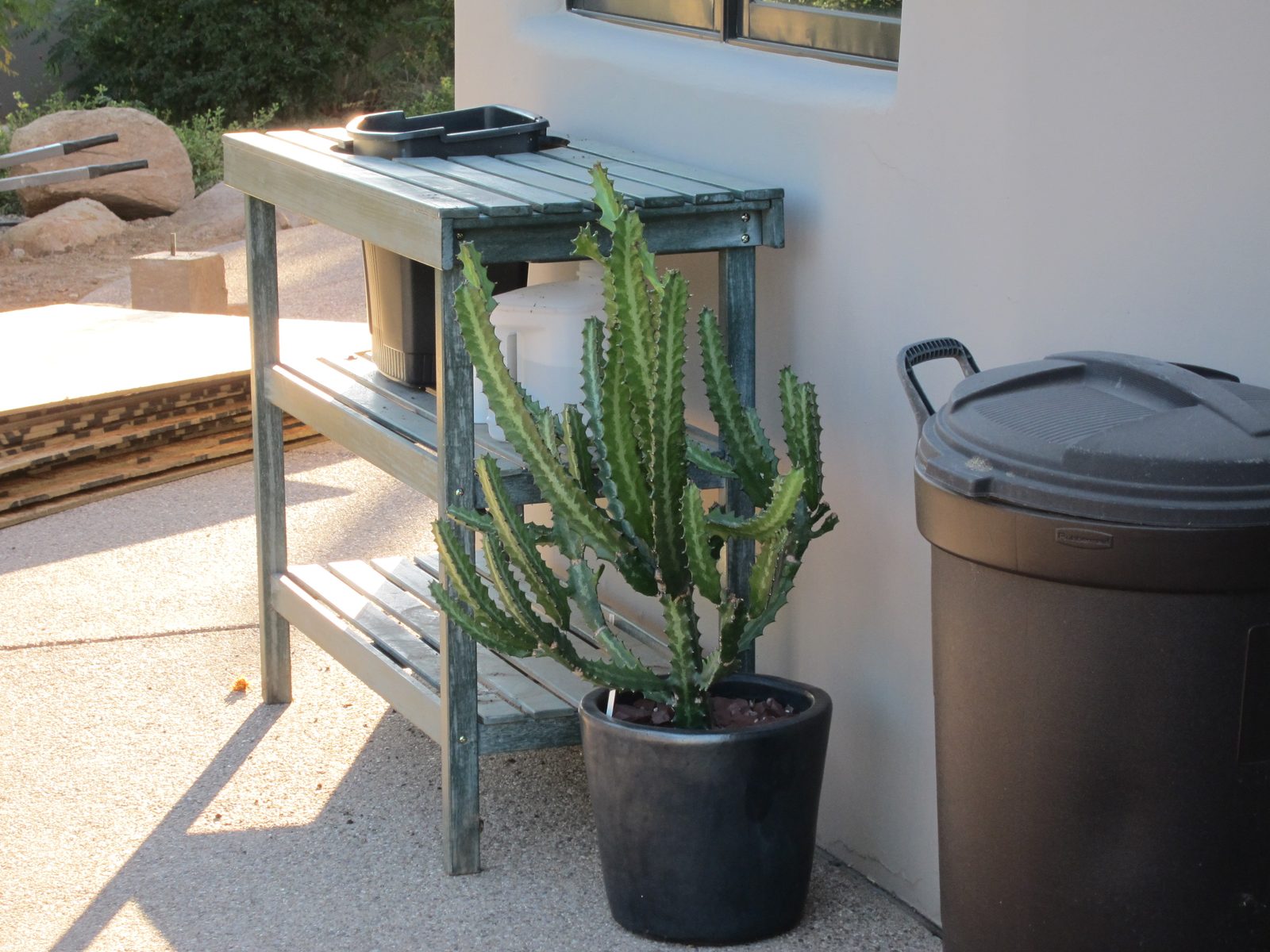 My potting table got moved around to the back of the house, and I'm finding it very convenient there.