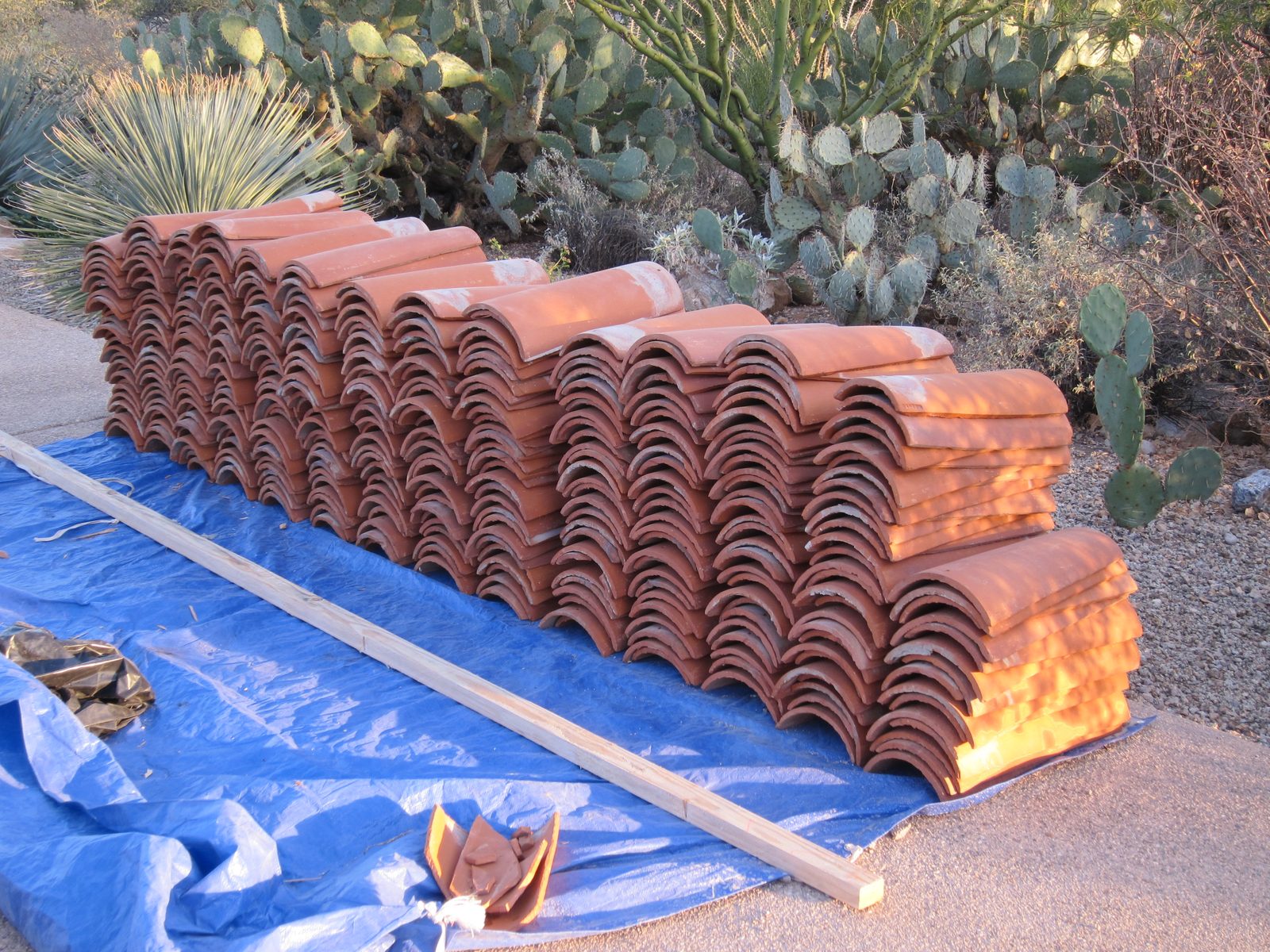 Ah, poor tiles that no one seems to want.