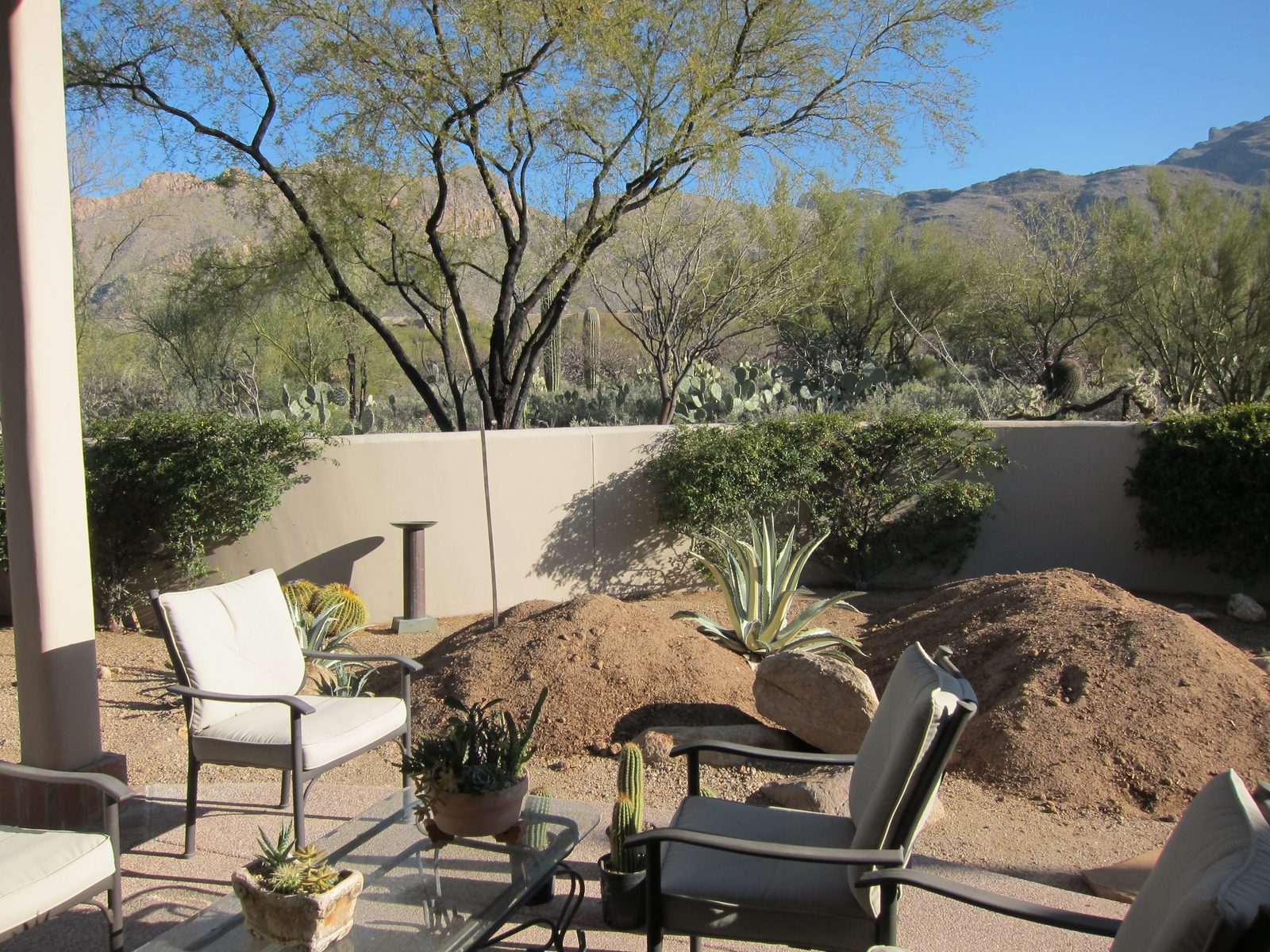 On to the next phase of the project - planting a cactus garden.  Here are the six cubic yds of...