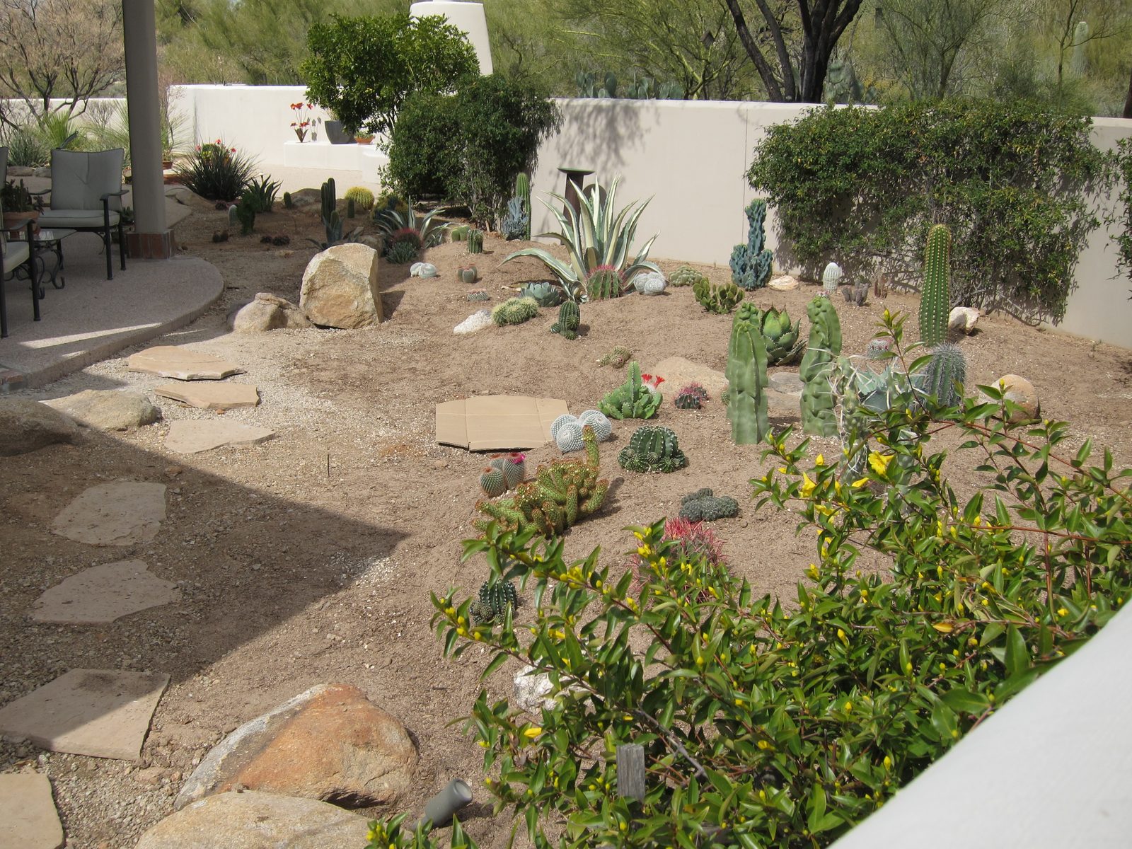 A view from the east, peeking over the wall so that the medium berm is in the front, then the...