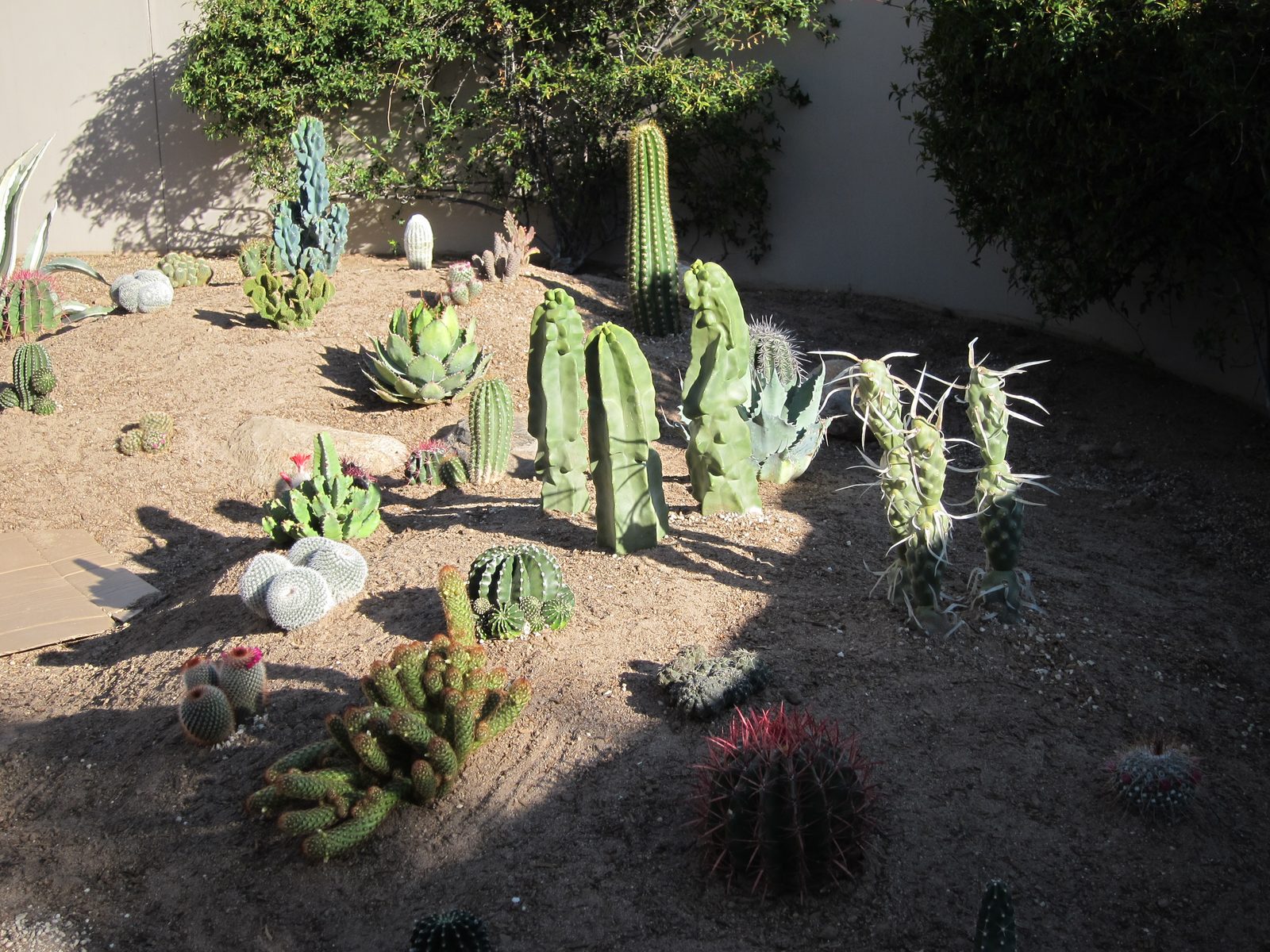 All these crazy creatures in our very own backyard.