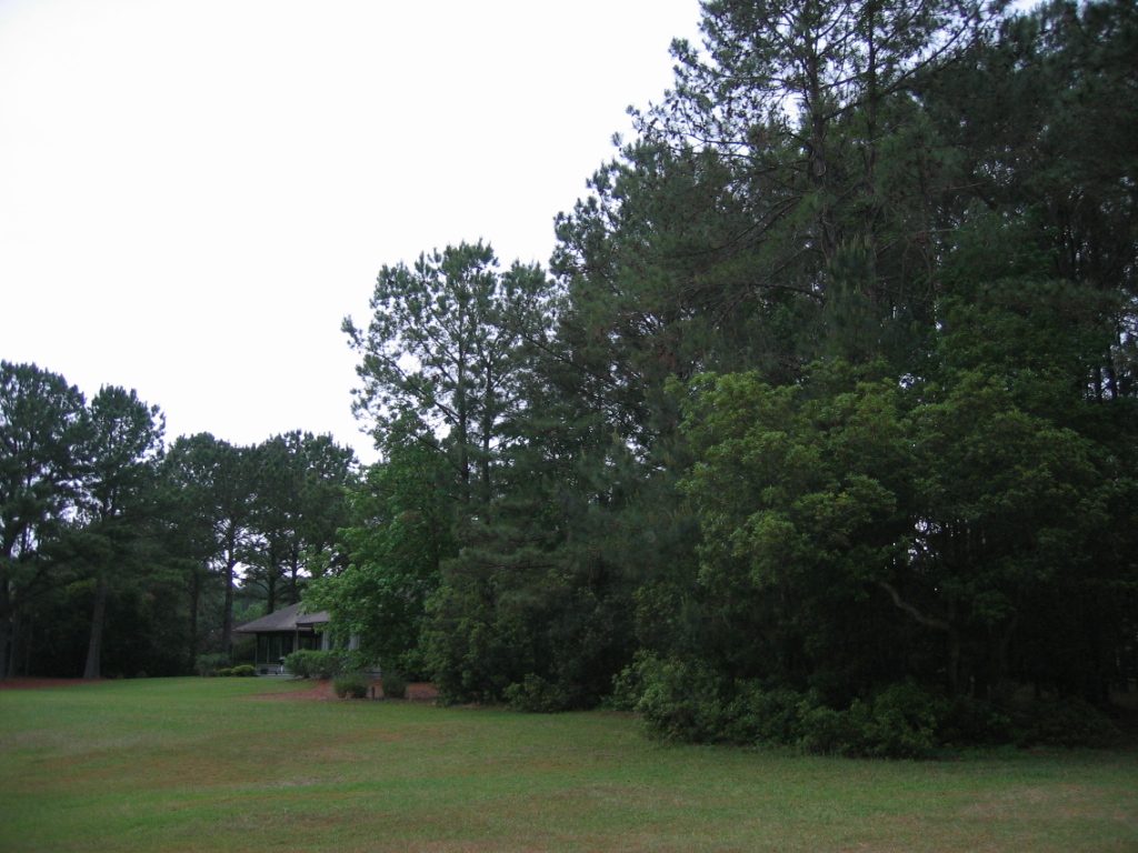 Rear section of the Fiddler's lot
