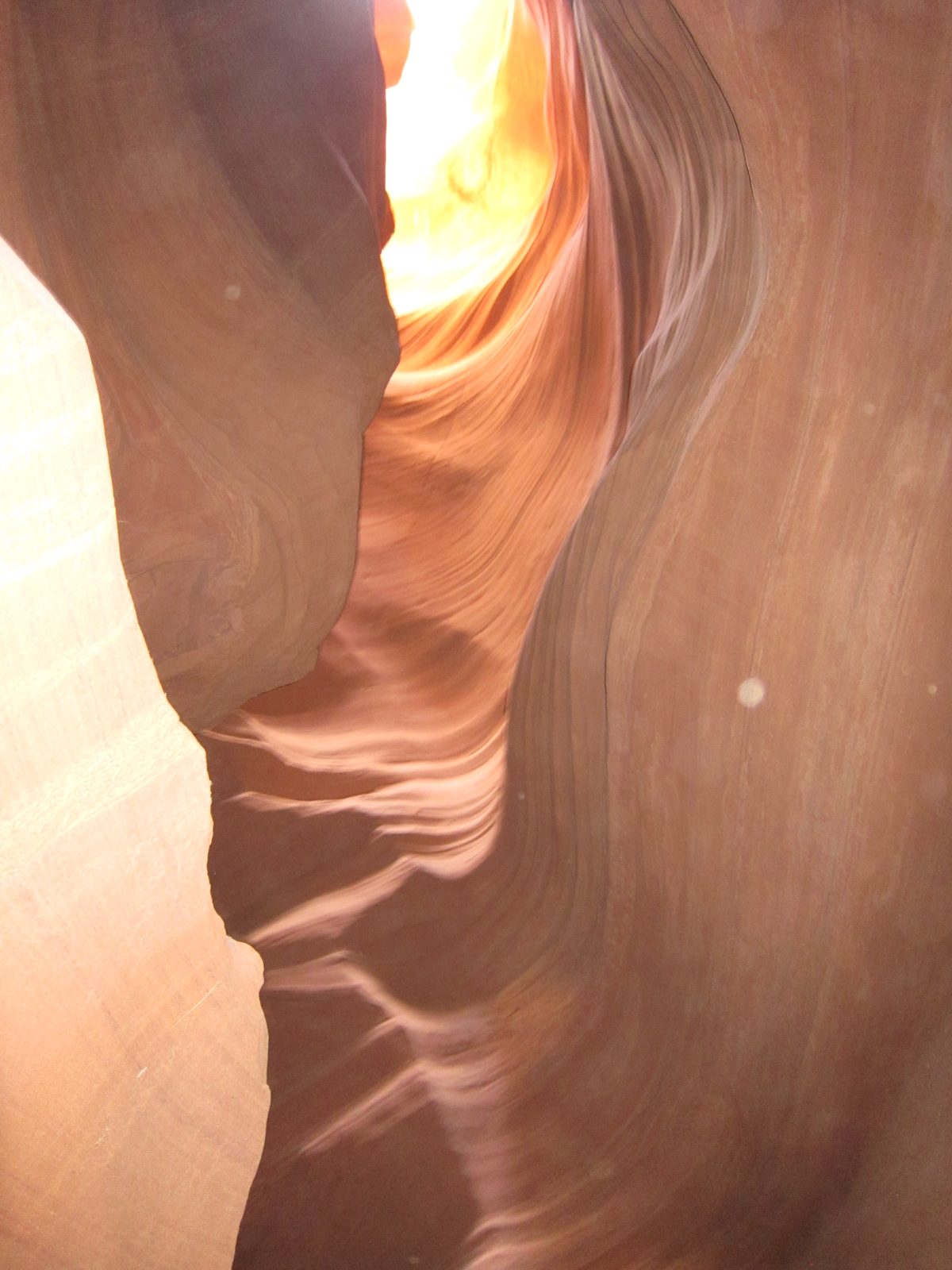 This is shot looking up into the sunlight