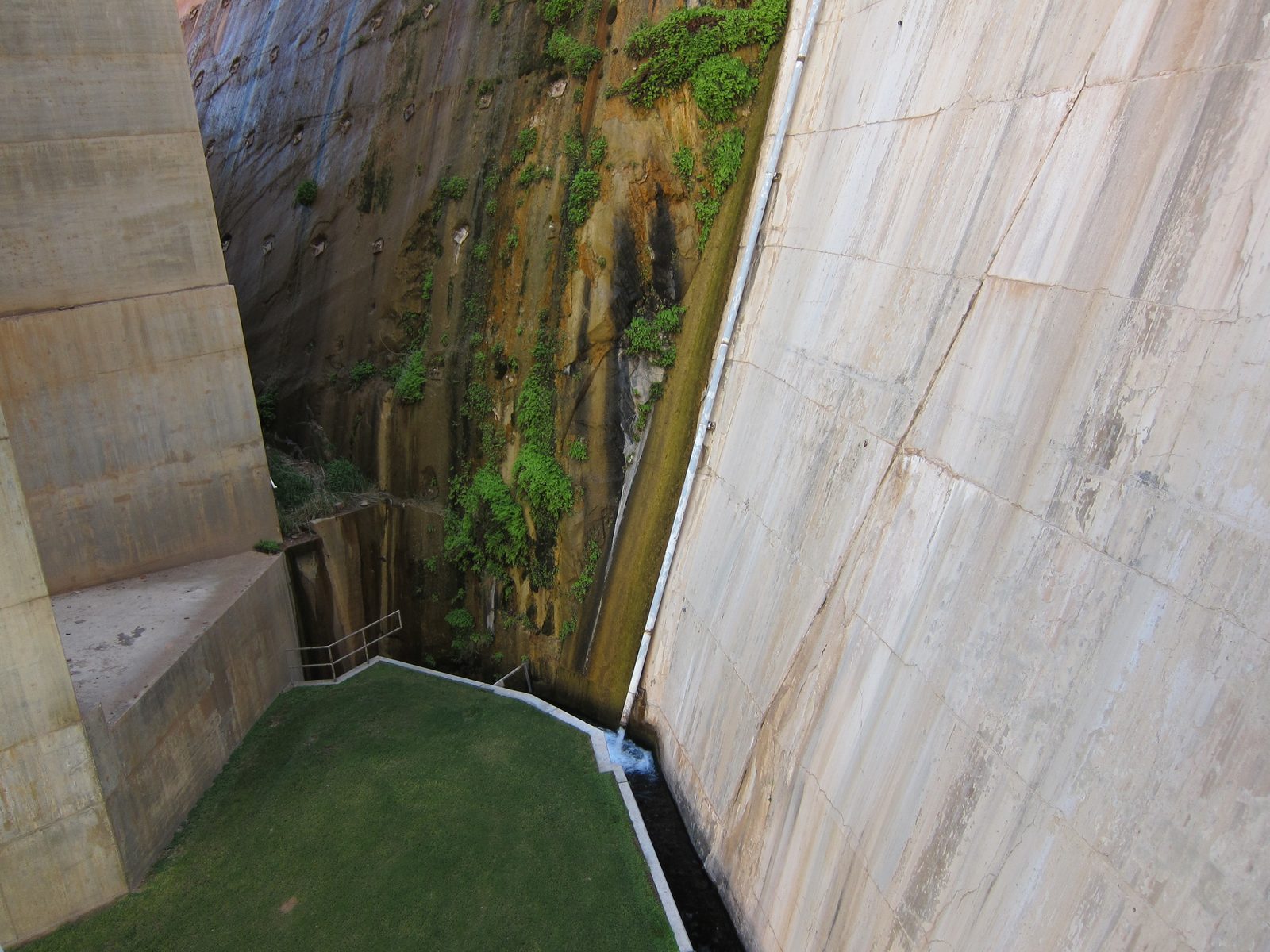 Where the dam butts into the canyon walls there is "seepage" which causes greenery to grow.  The...