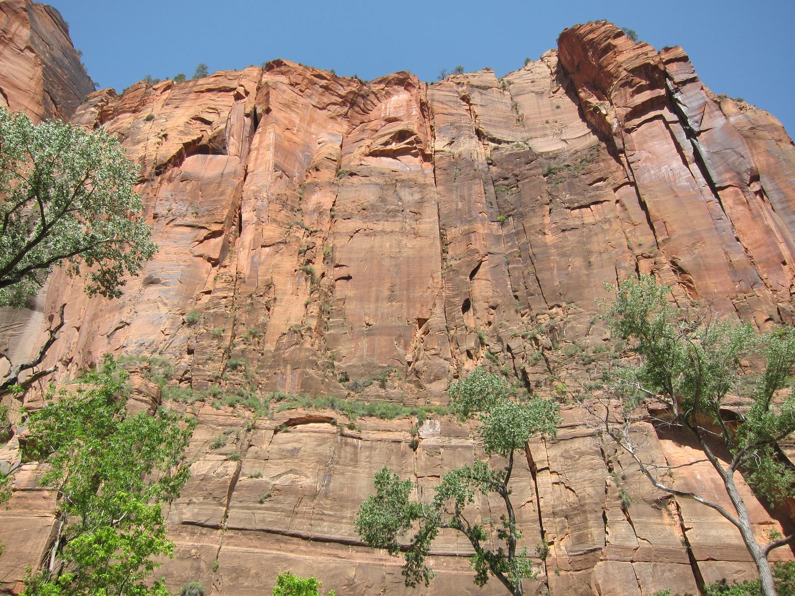 Just the cliffs along the trail leading to the Narrows
