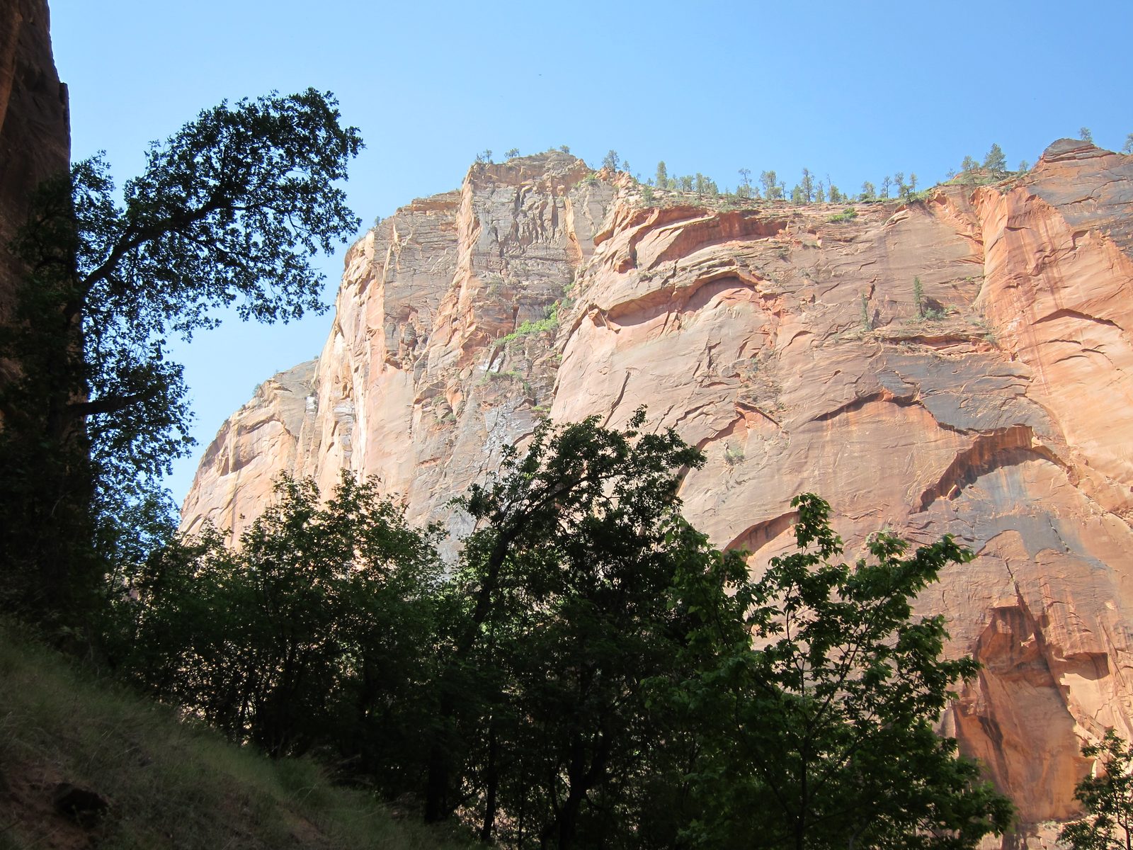 Looking back toward the entrance to our walk.