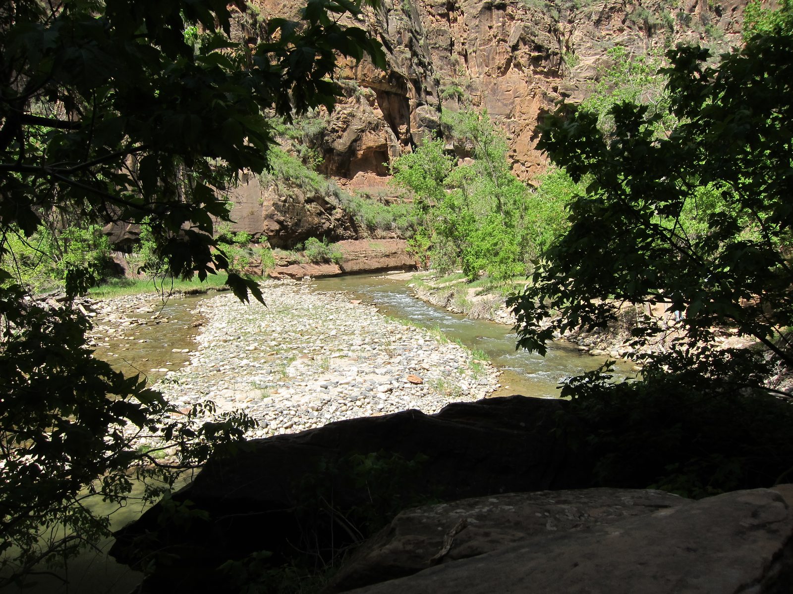 The Virgin River coming out of the narrows.  Not much flow.