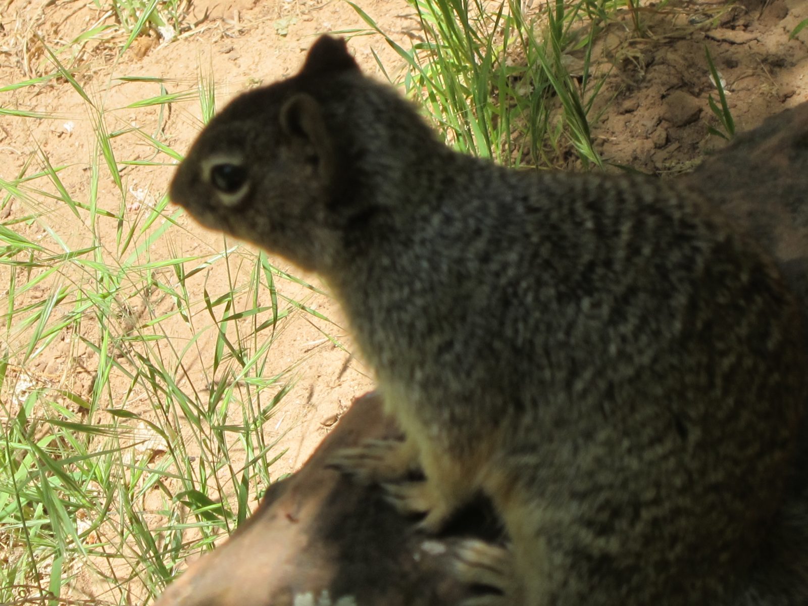 Time for my close-up