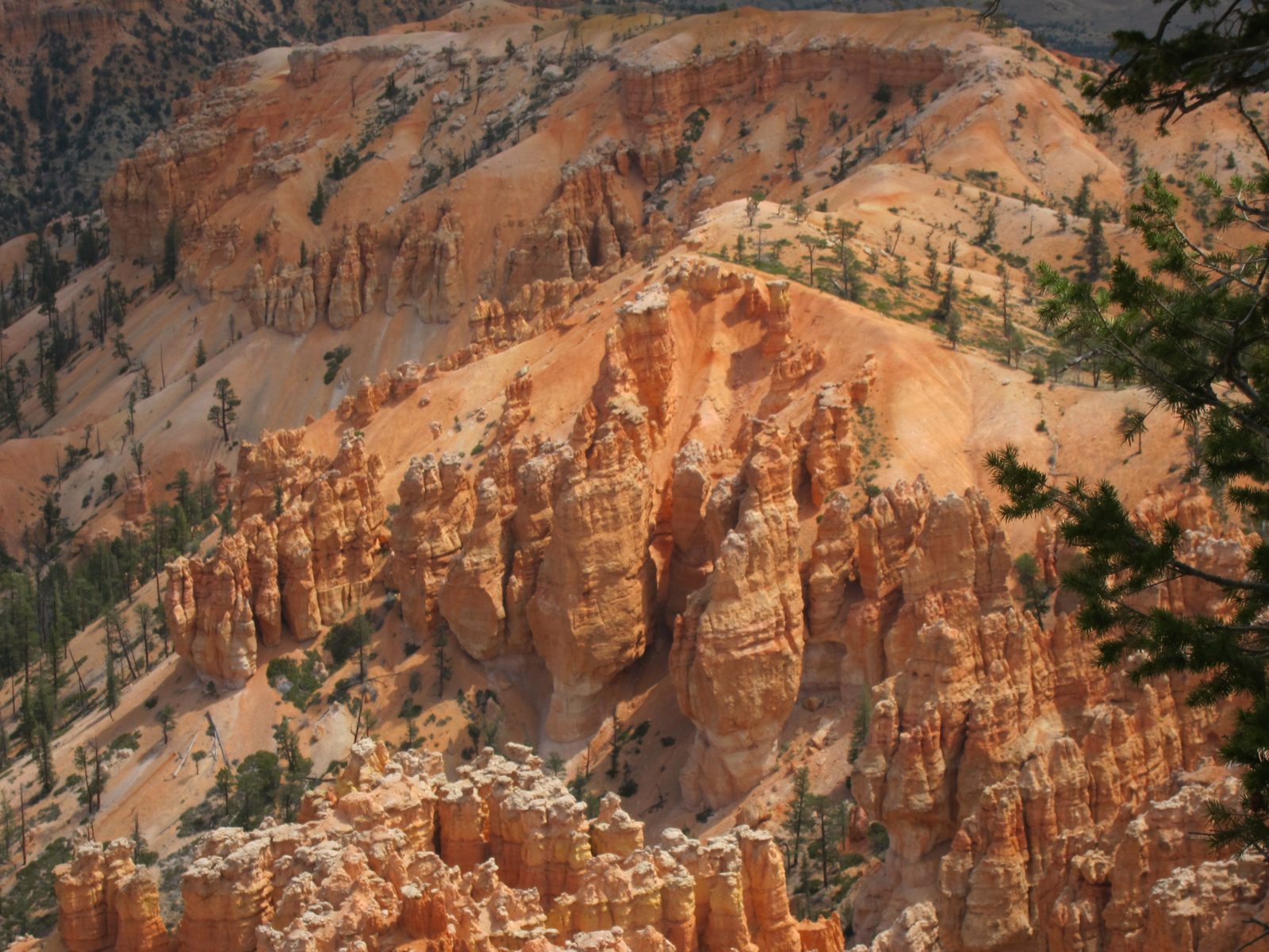 Now we are in Bryce, looking into one of the amphitheatres.