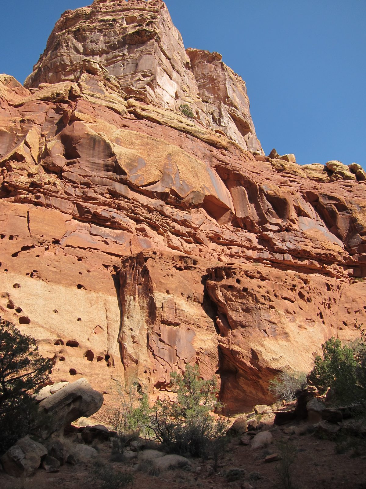 These holes, or at least similar ones in Monument Valley, are caused by calcium deposits that...
