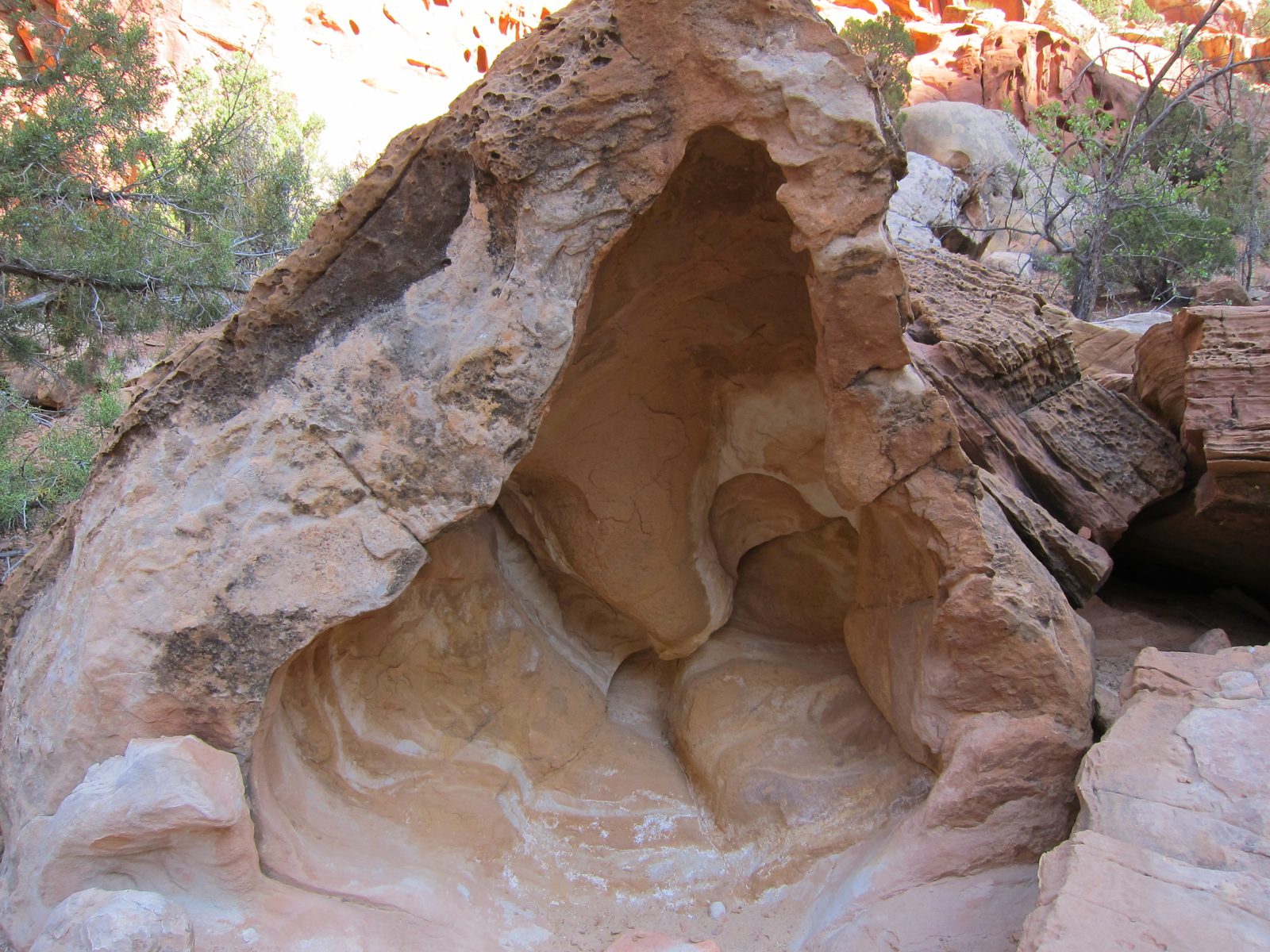 This looked to be like a giant geode