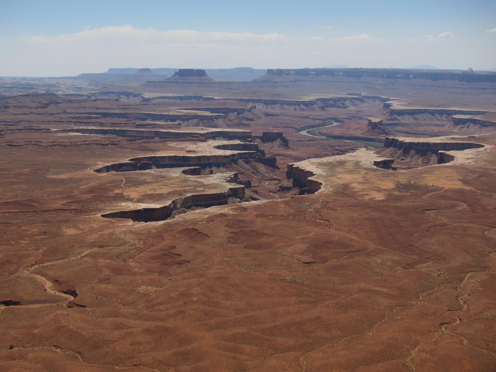 The White Rim trail is mainly for mountain bikes.  Though we overheard some bikers saying it was...