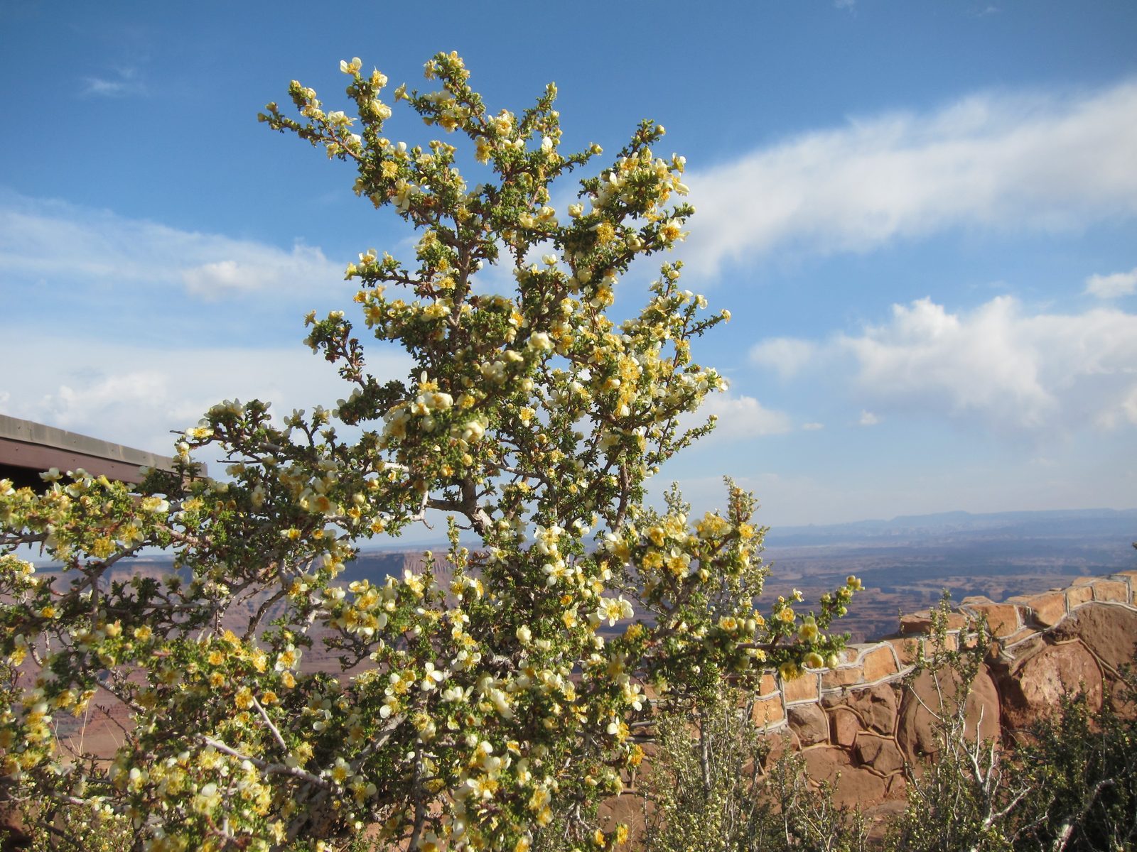 Will include it in the Canyonland series since it abuts it.