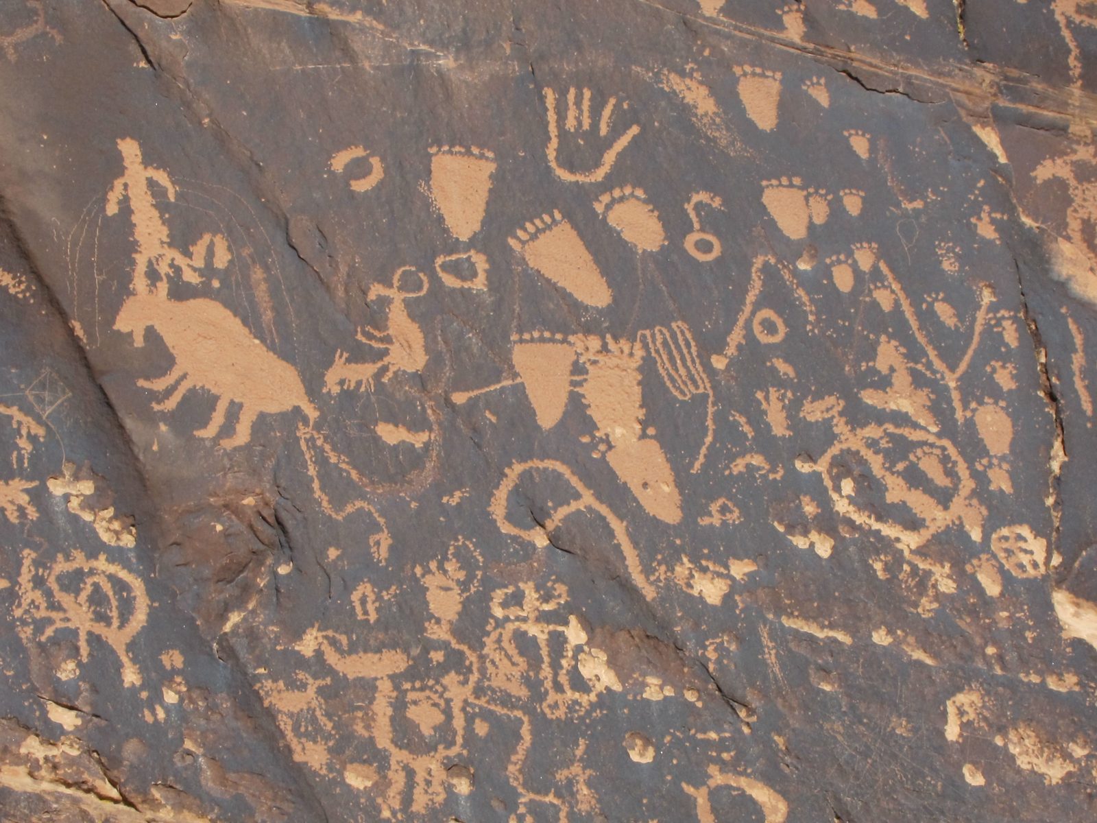 Lots of flat footed people?  With six toes?  I think it is really neat that this is here, but I...